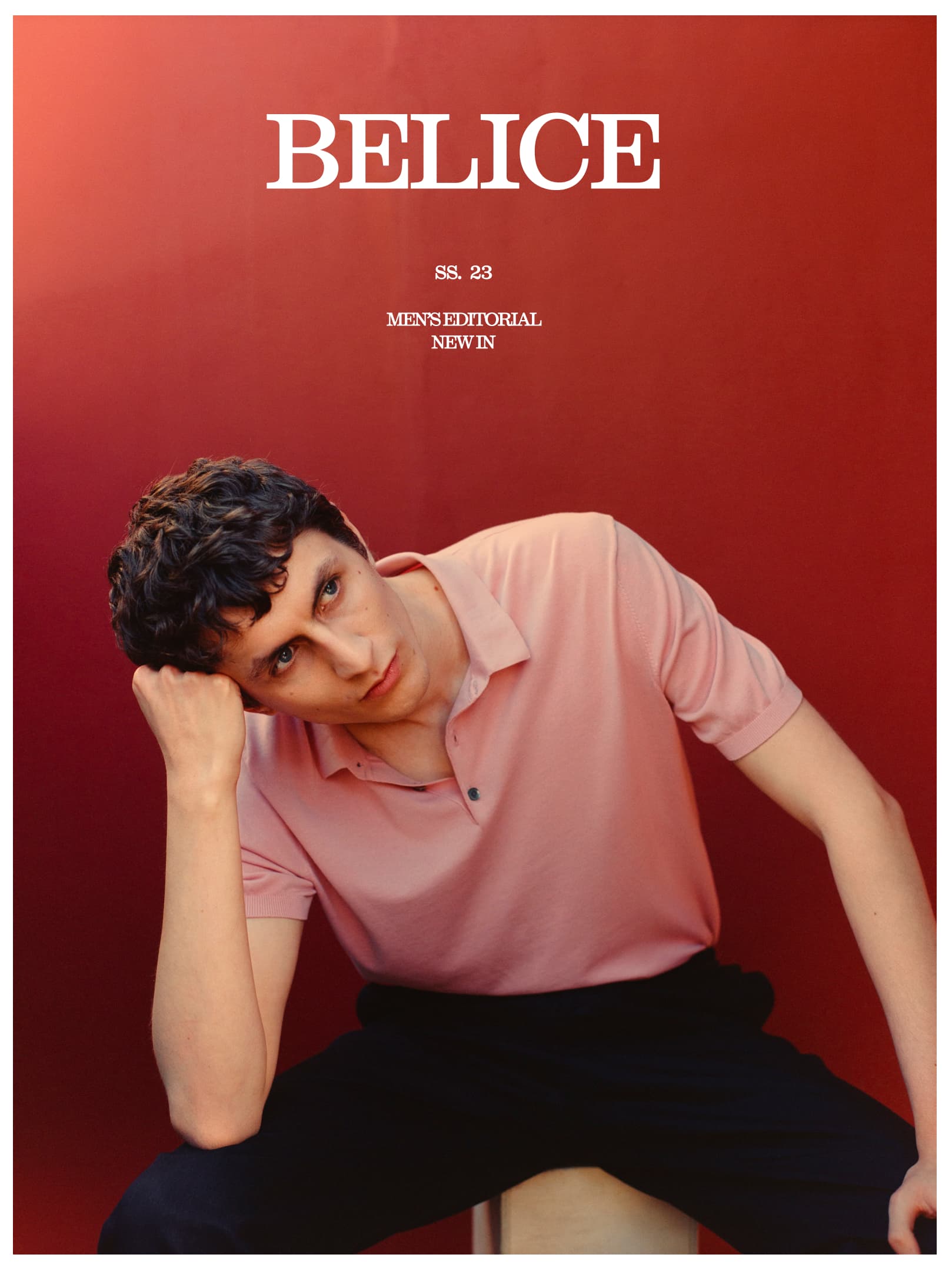 mEditBeliceDesktop01V2_1