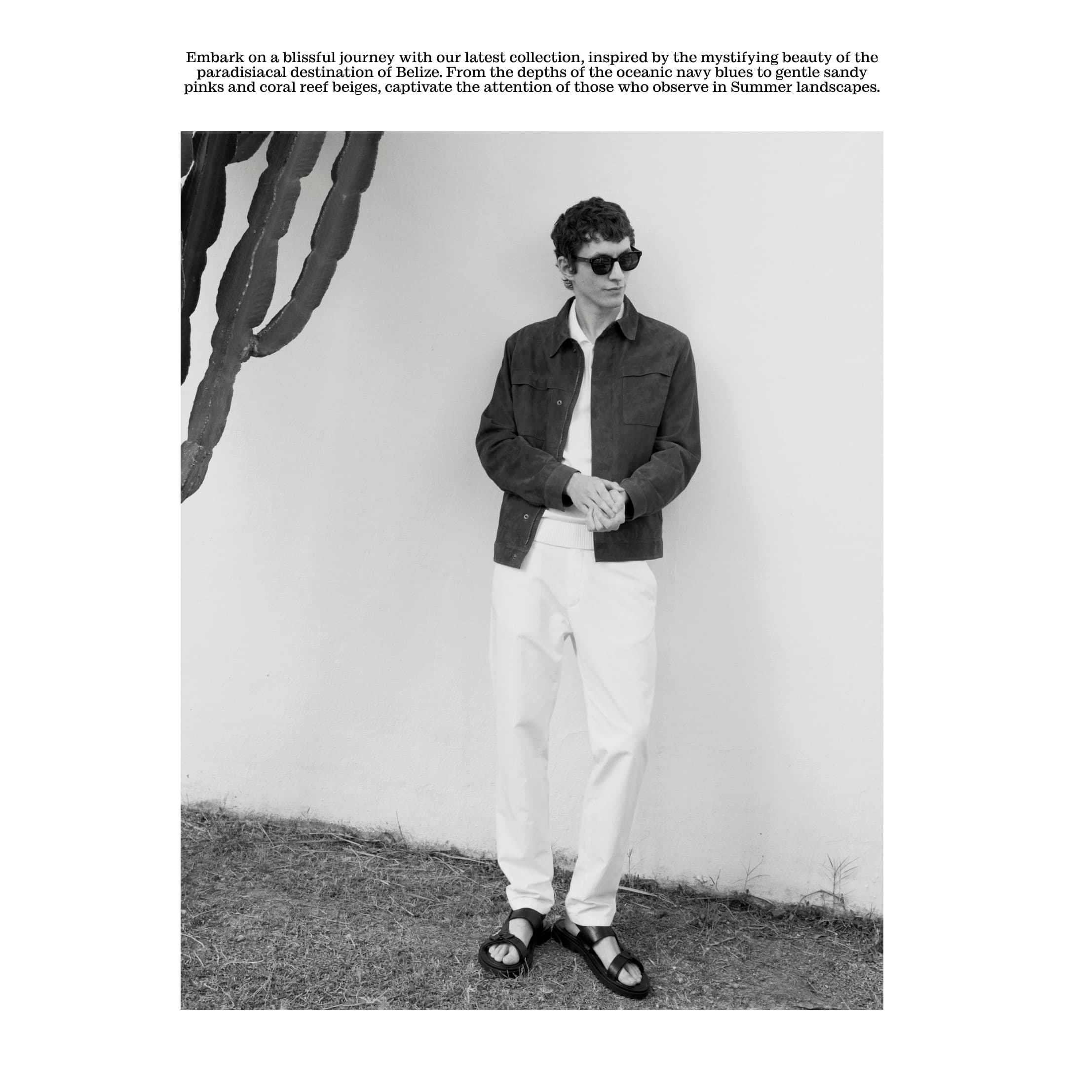 mEditBeliceDesktop02V2_1