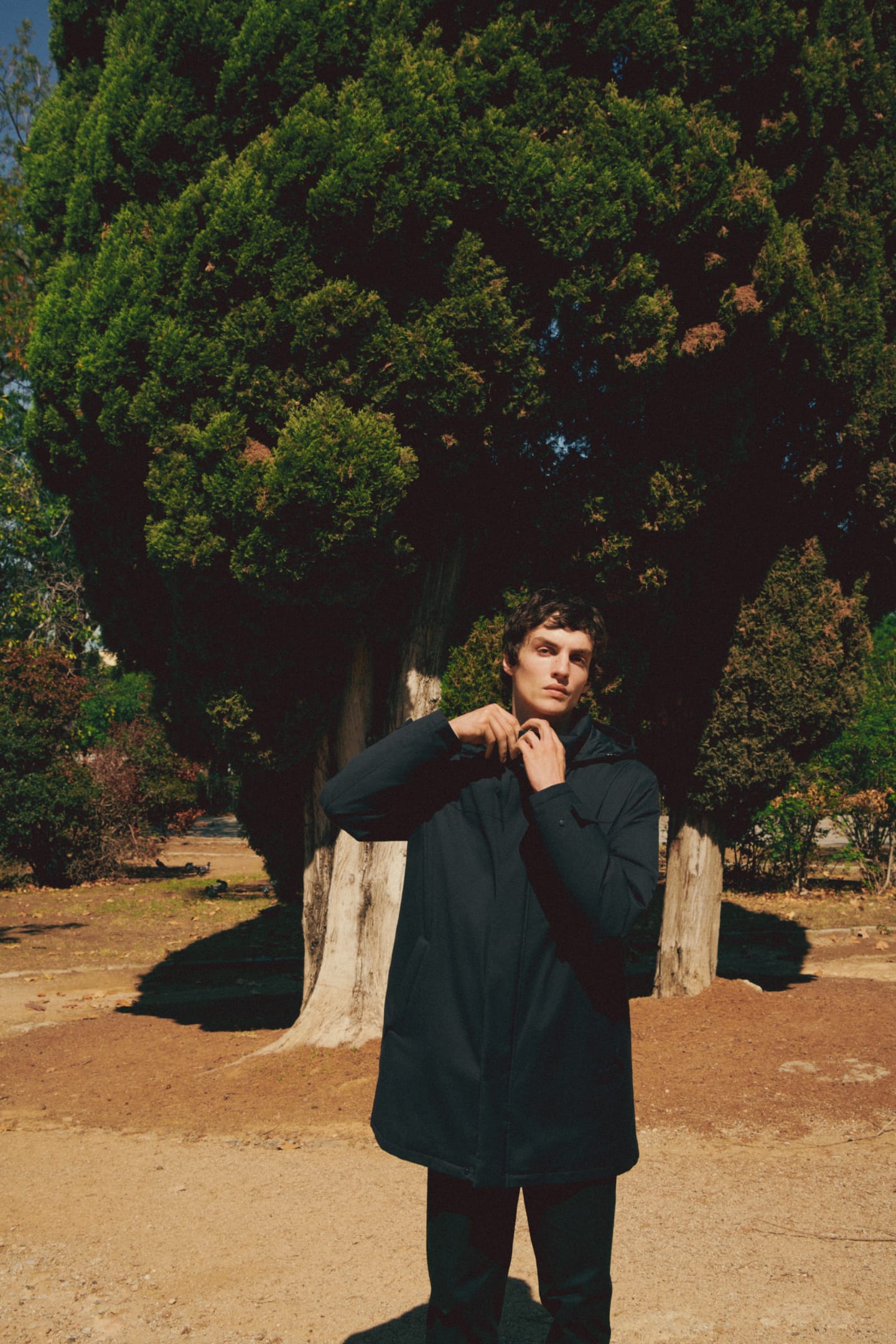 mEditDesktopNubeau16_1