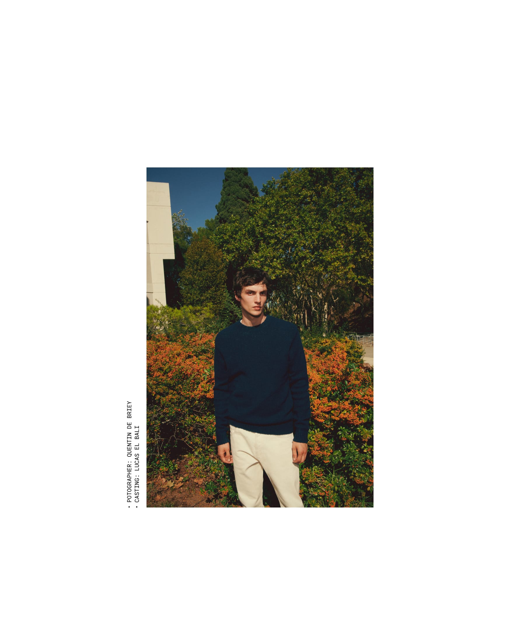 mEditDesktopNubeau17_1