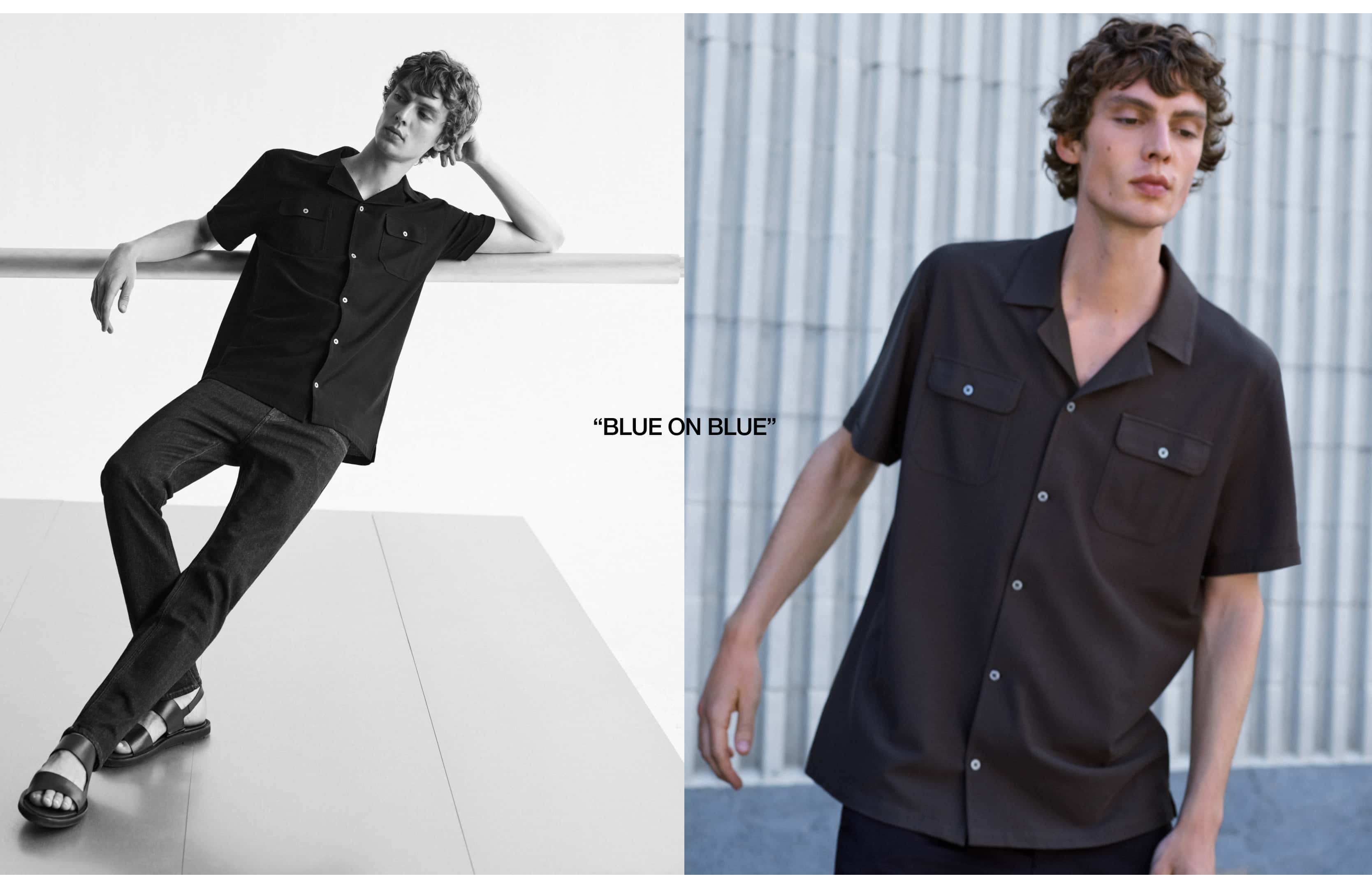 mEditDesktopZelig14_5