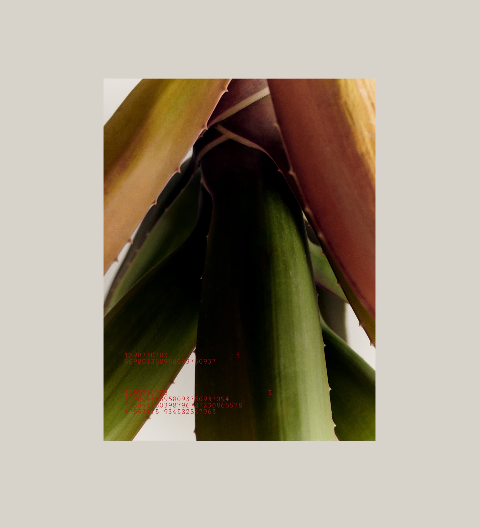 mEditMilosDesktop14_1