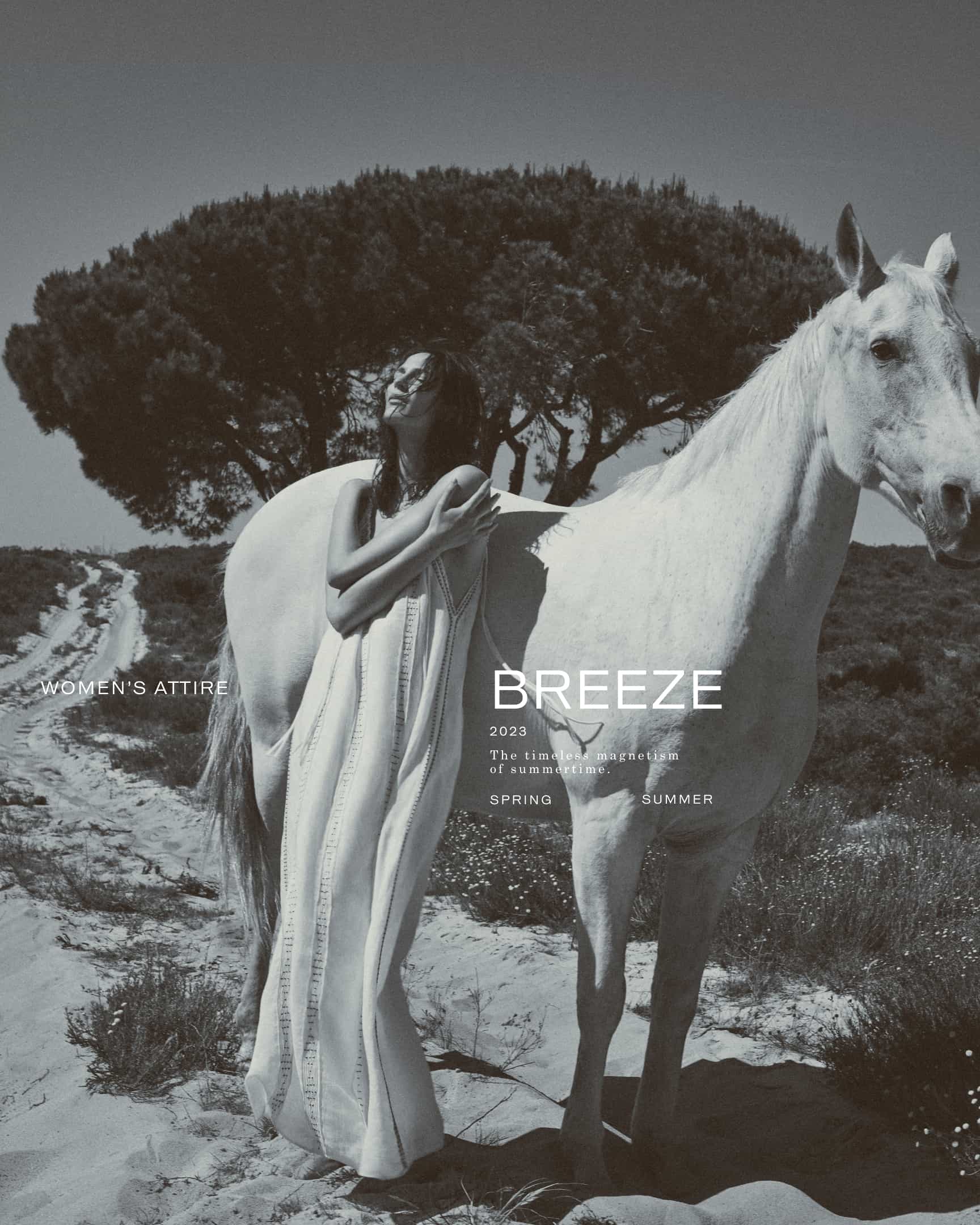 wEditDesktopBreeze01_1