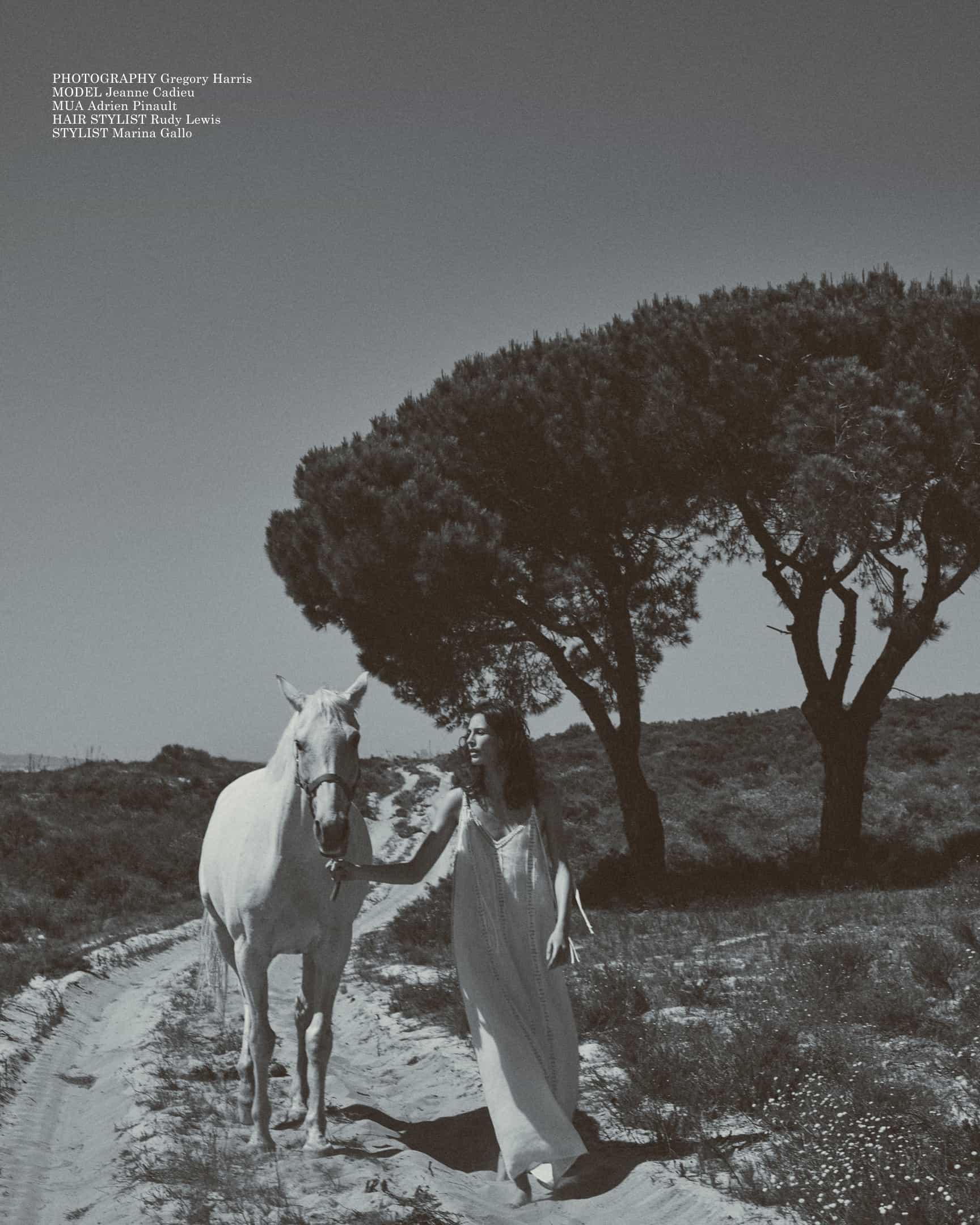 wEditDesktopBreeze22_1