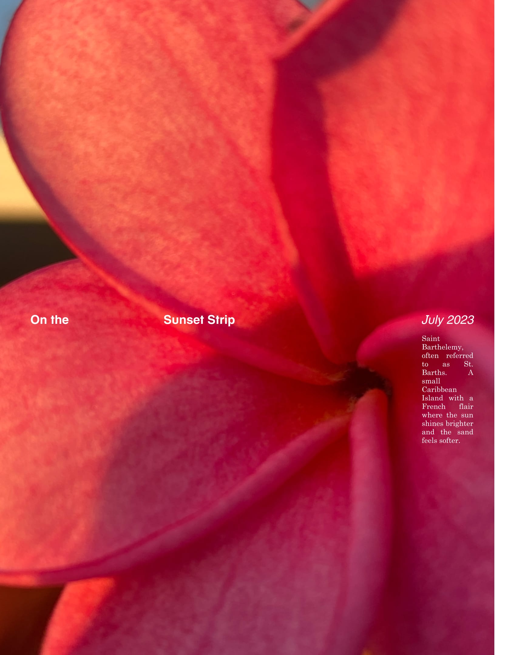 wEditDesktopOnTheSunsetStripe01_5