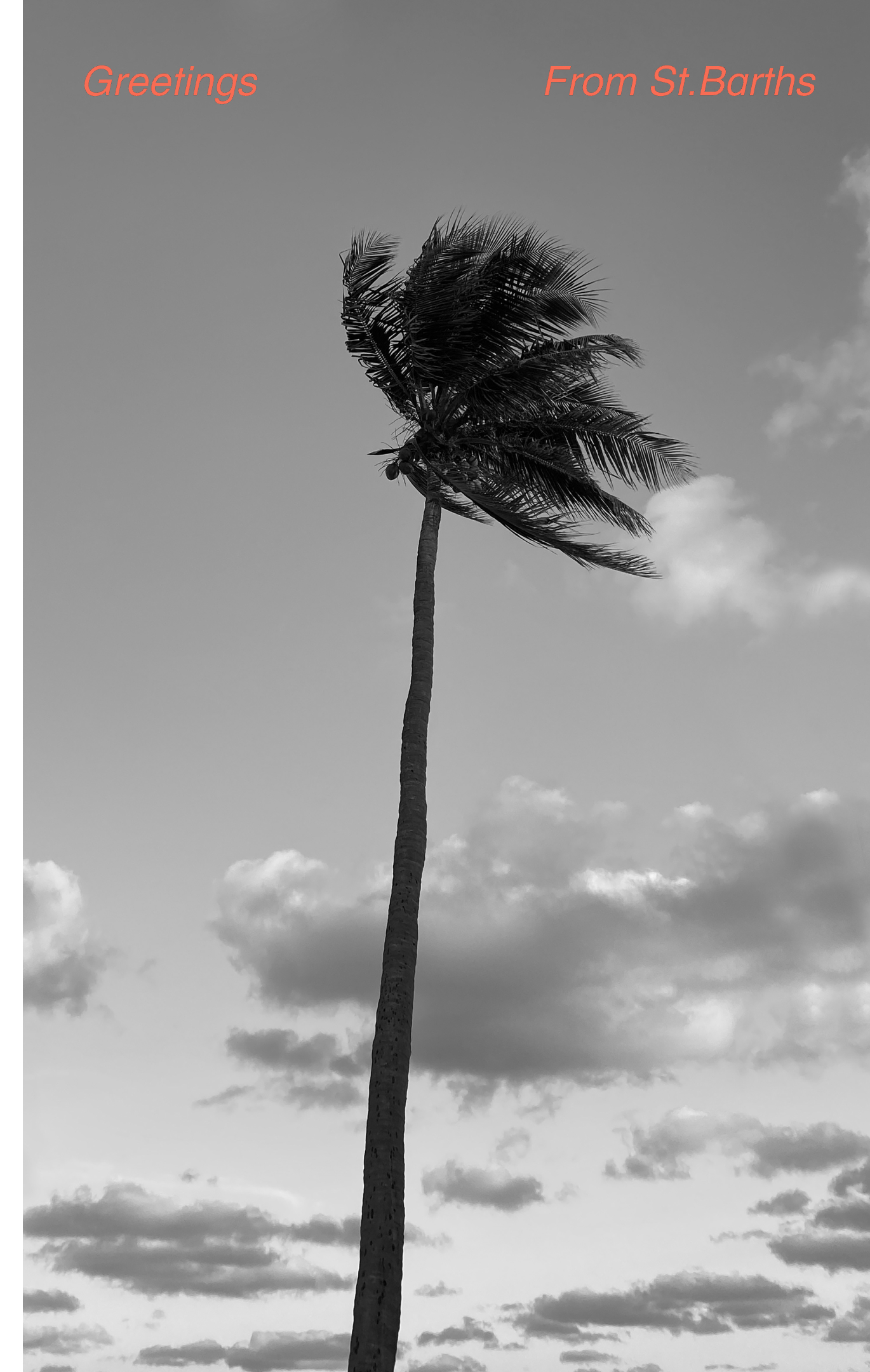 wEditDesktopOnTheSunsetStripe04_5