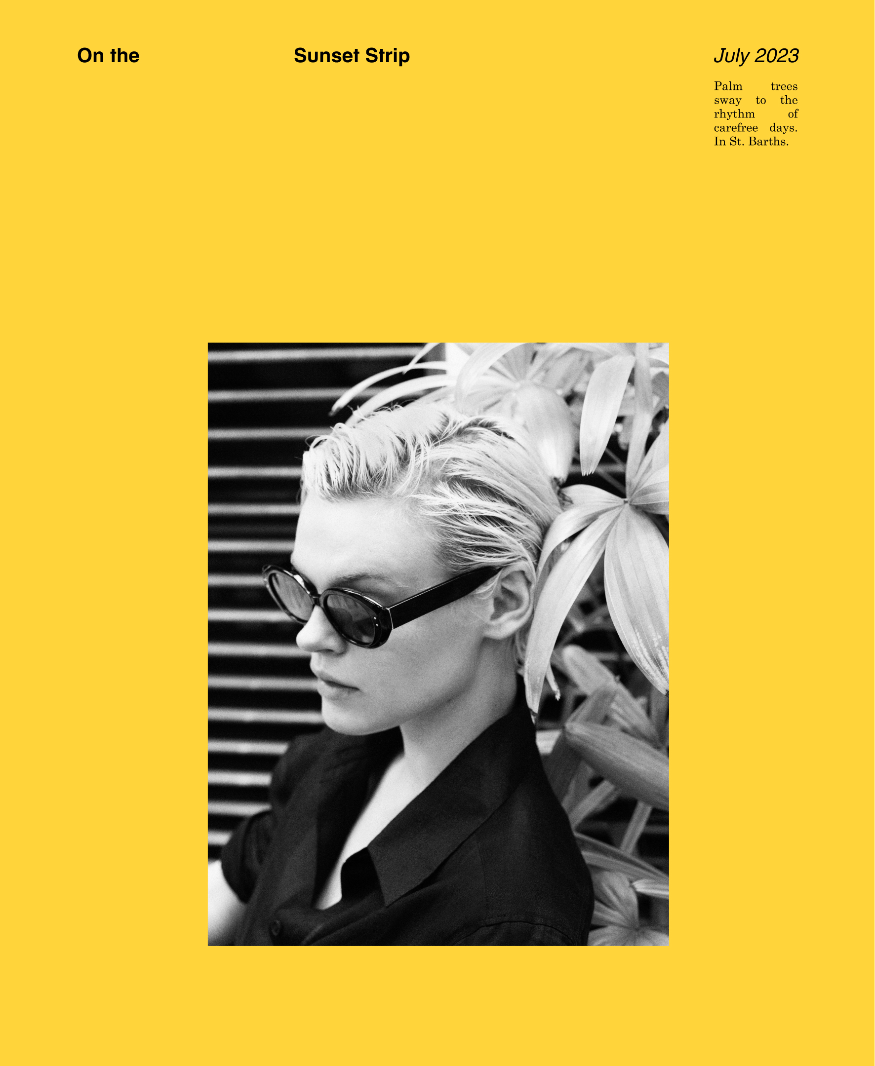 wEditDesktopOnTheSunsetStripe31_7