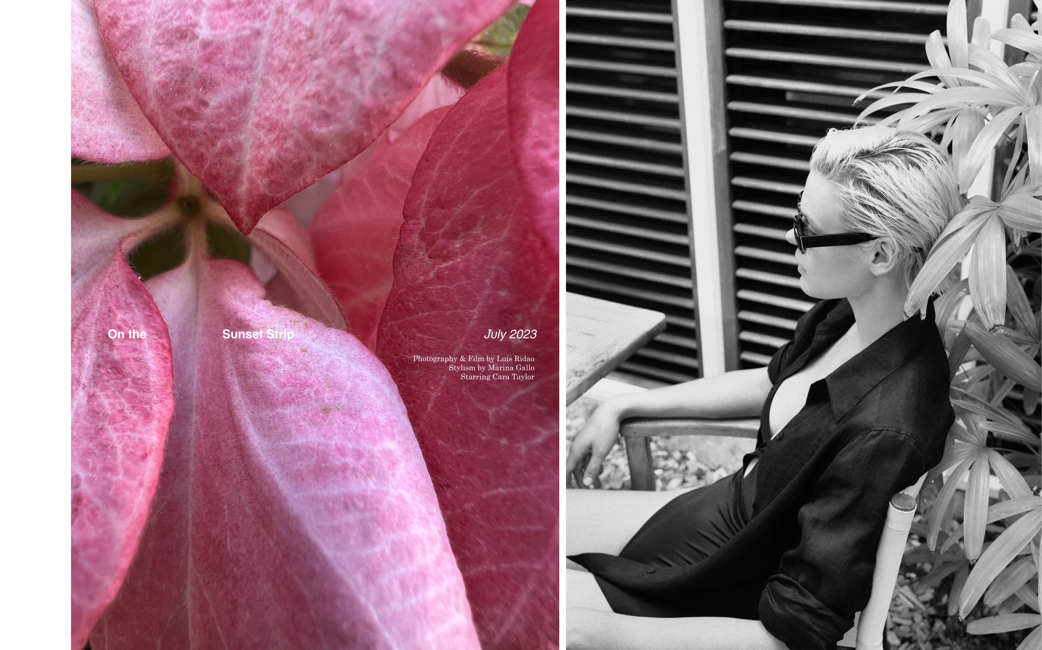 wEditDesktopOnTheSunsetStripe36_5