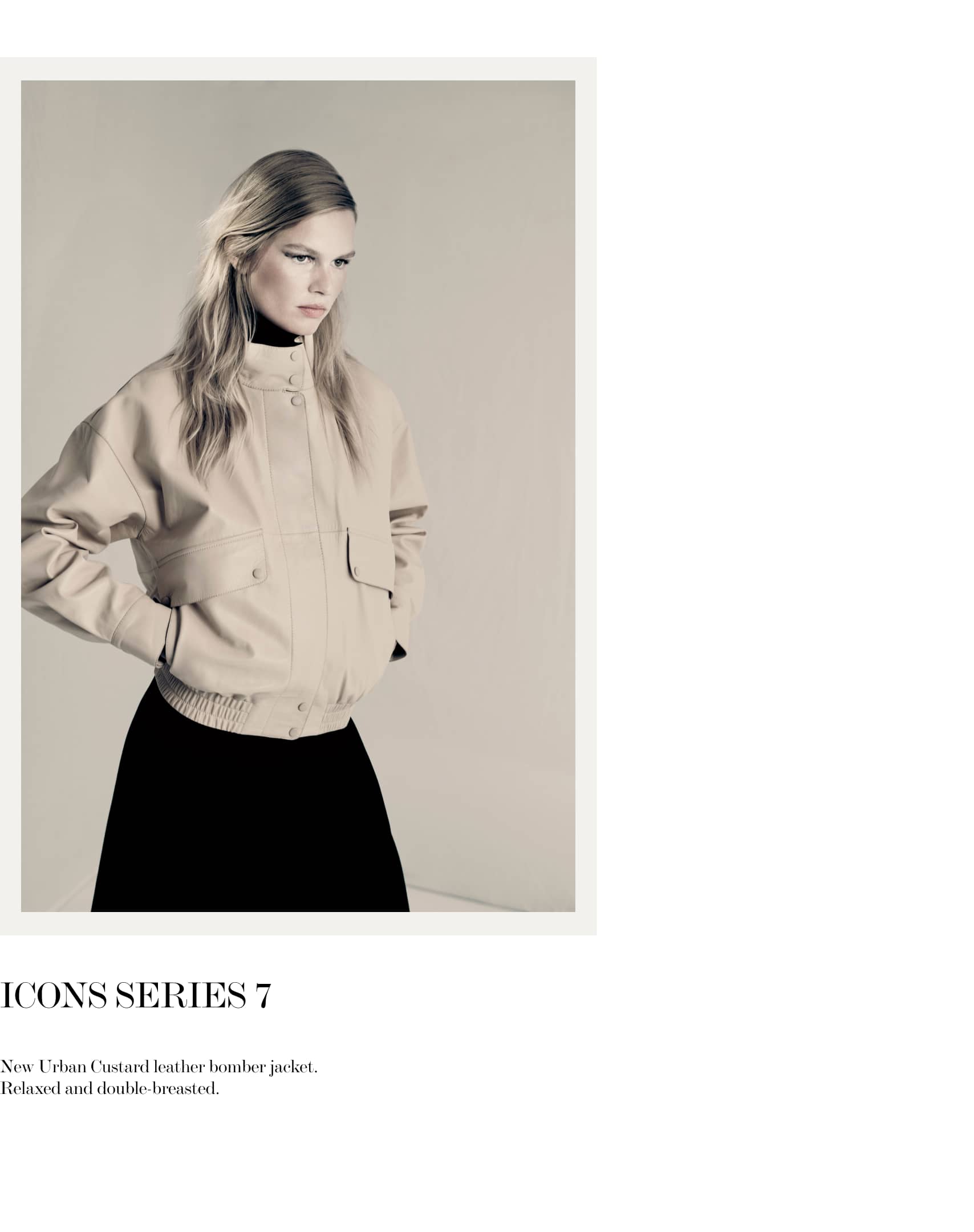 wTheNewIconPiecesDesktop101_1