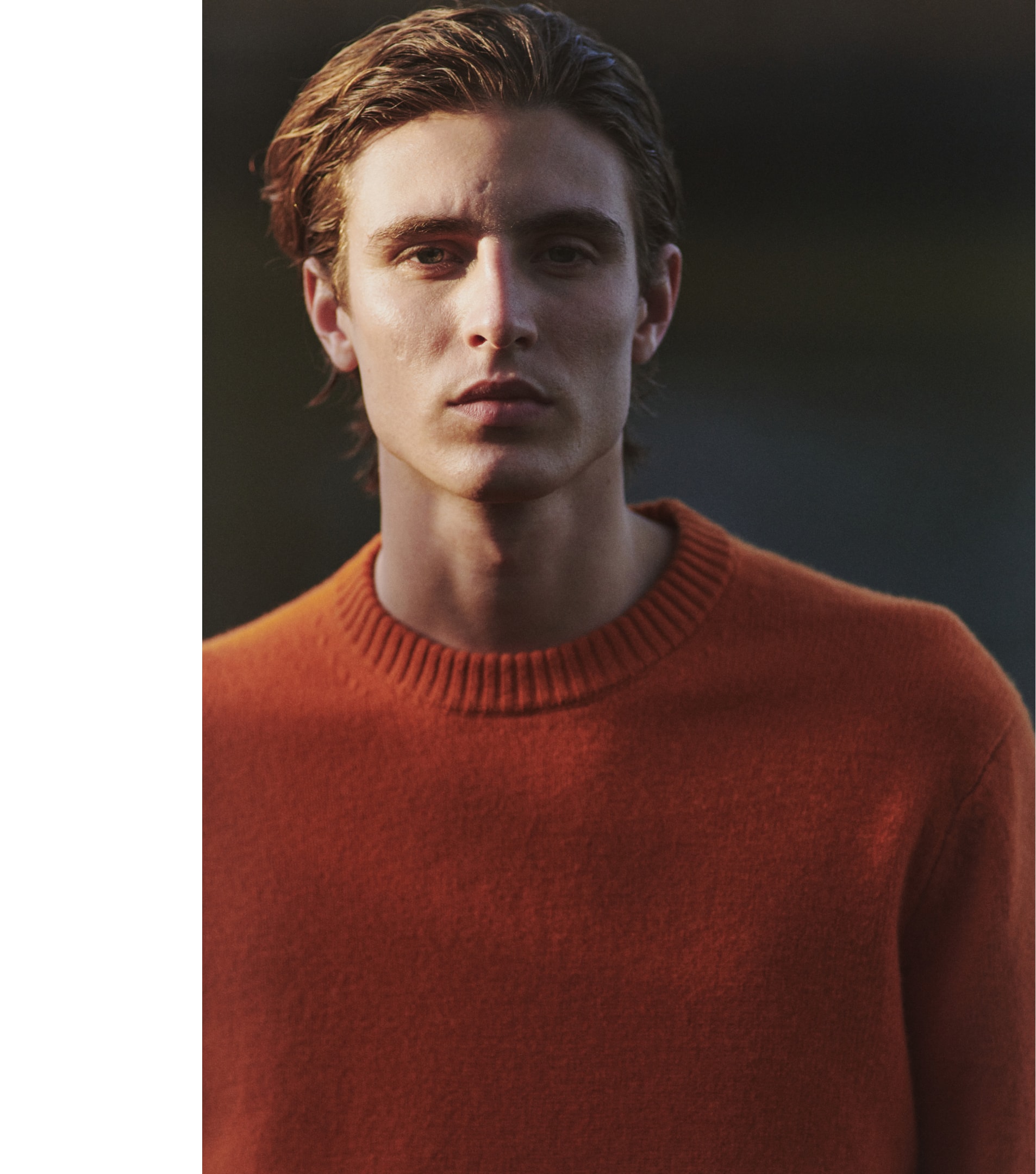 mEditDesktopBurdeaux04_1