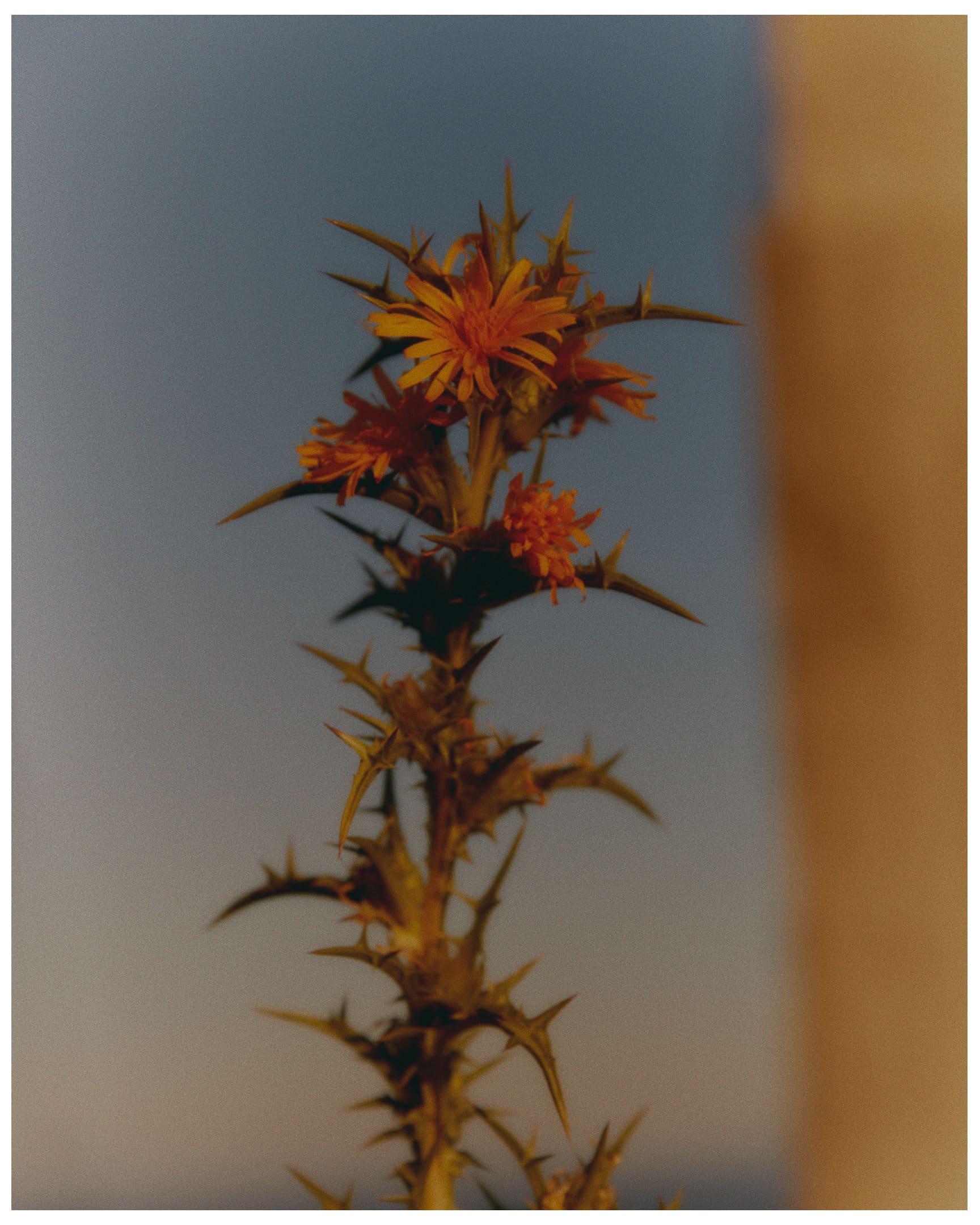 mEditHeadedEastIiDesktop04_1