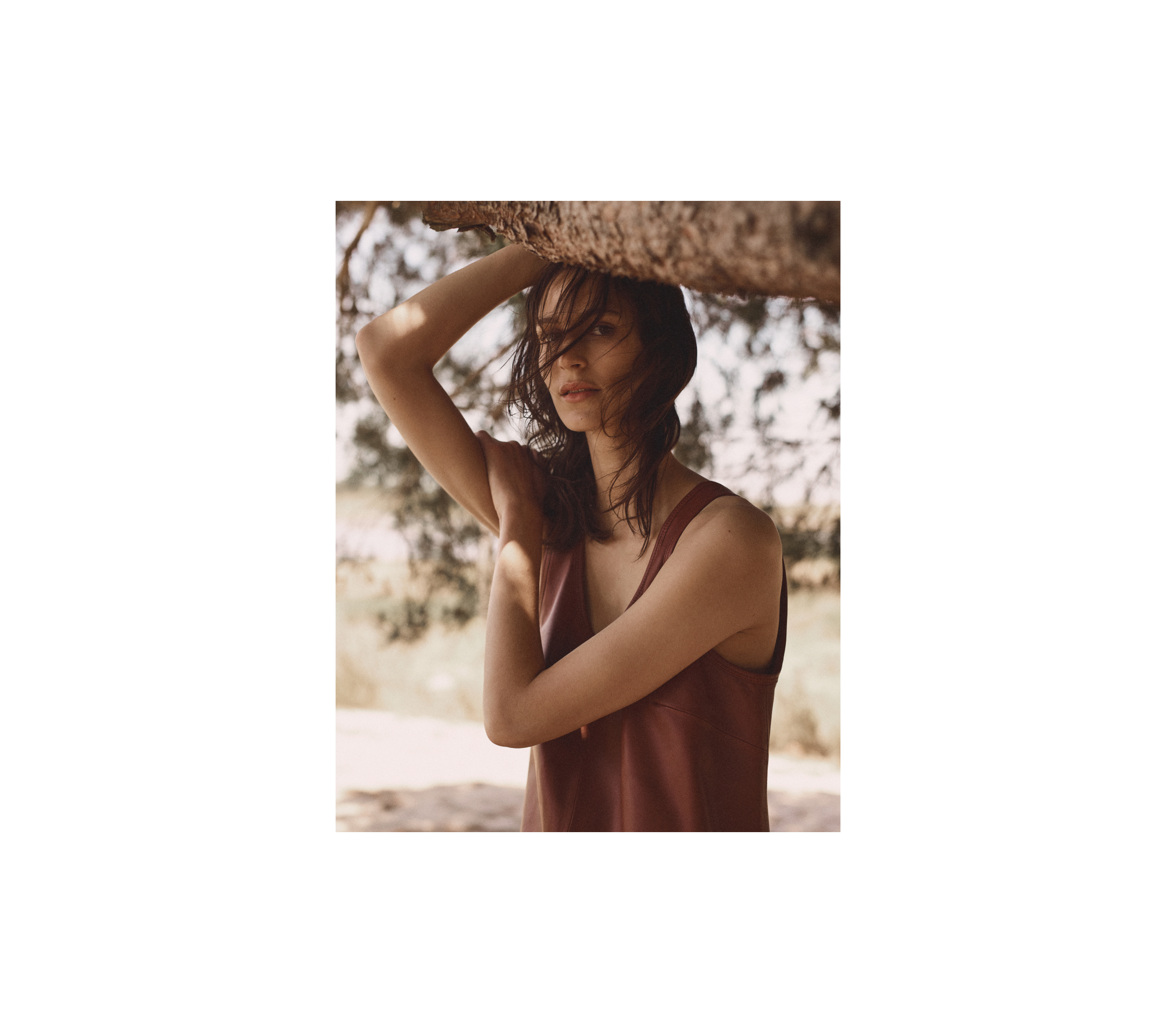 wEditDesktopBreeze09_1