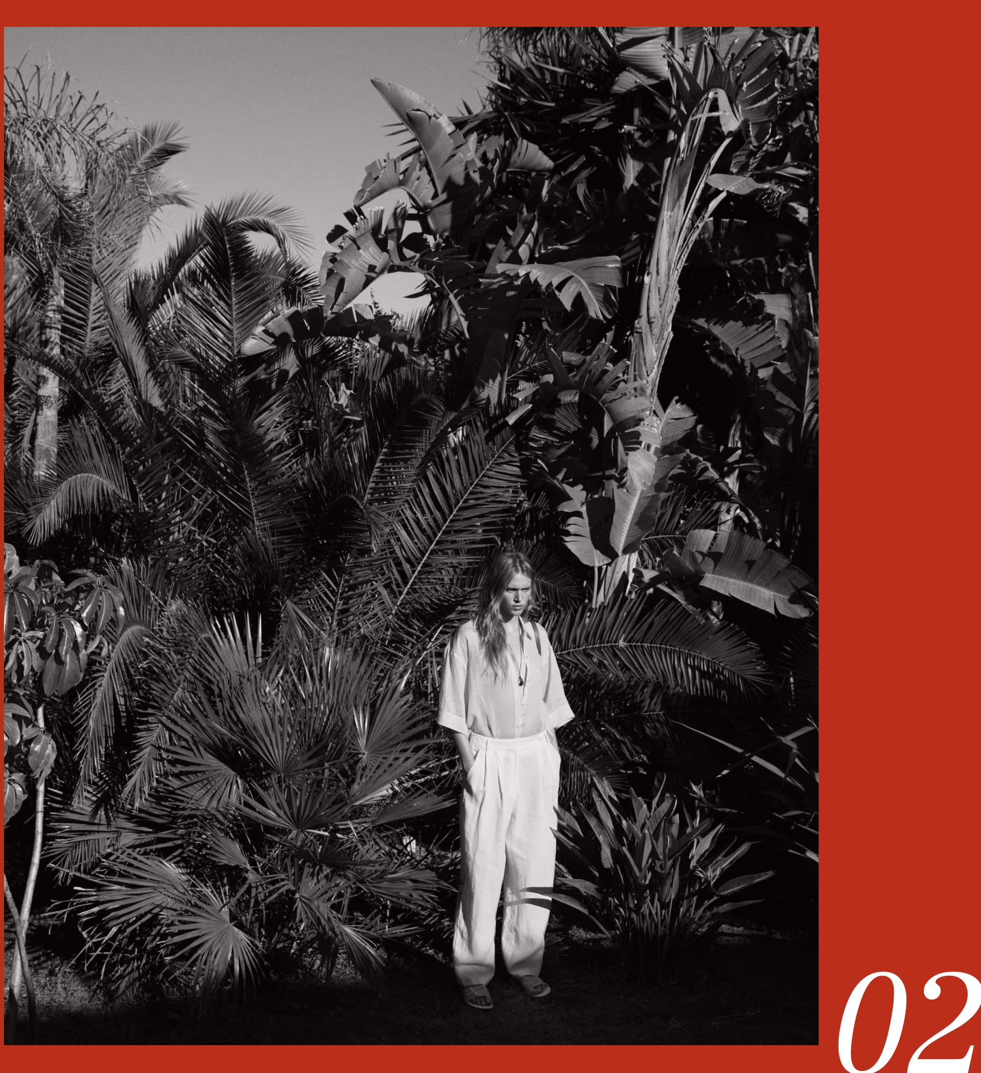 wEditDesktopSulMare14_1