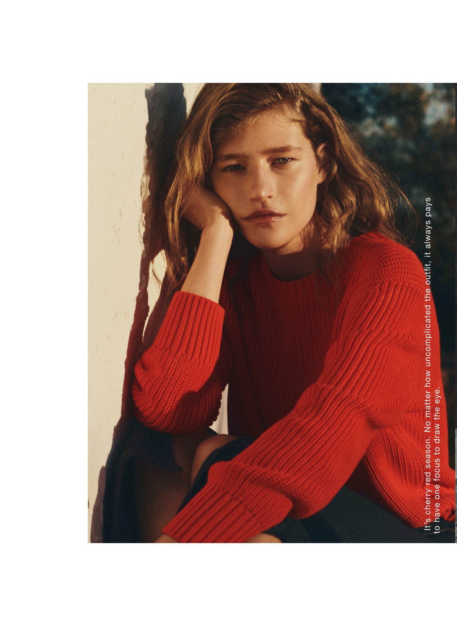 wEditJourDesktop22_1