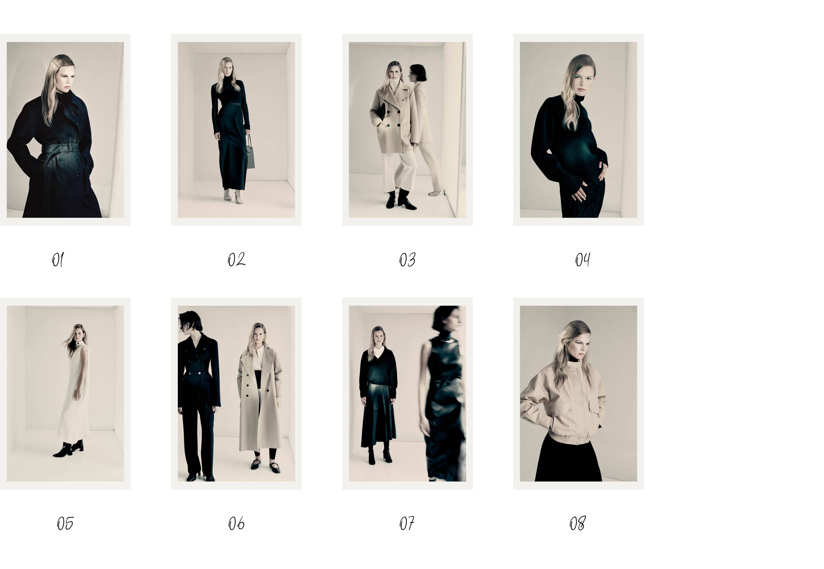 wTheNewIconPiecesDesktop11_1