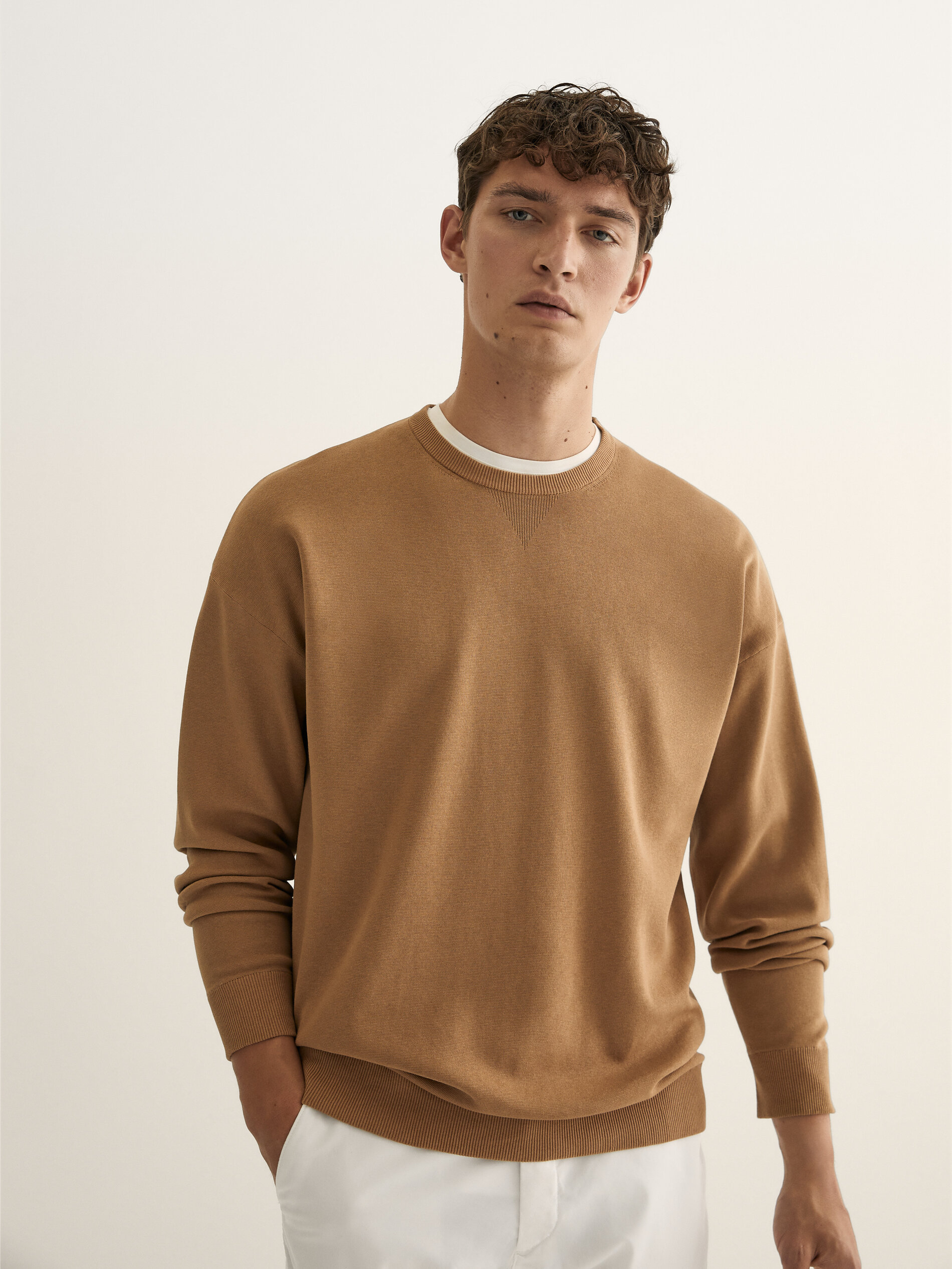 cotton crew neck sweater Massimo Dutti 