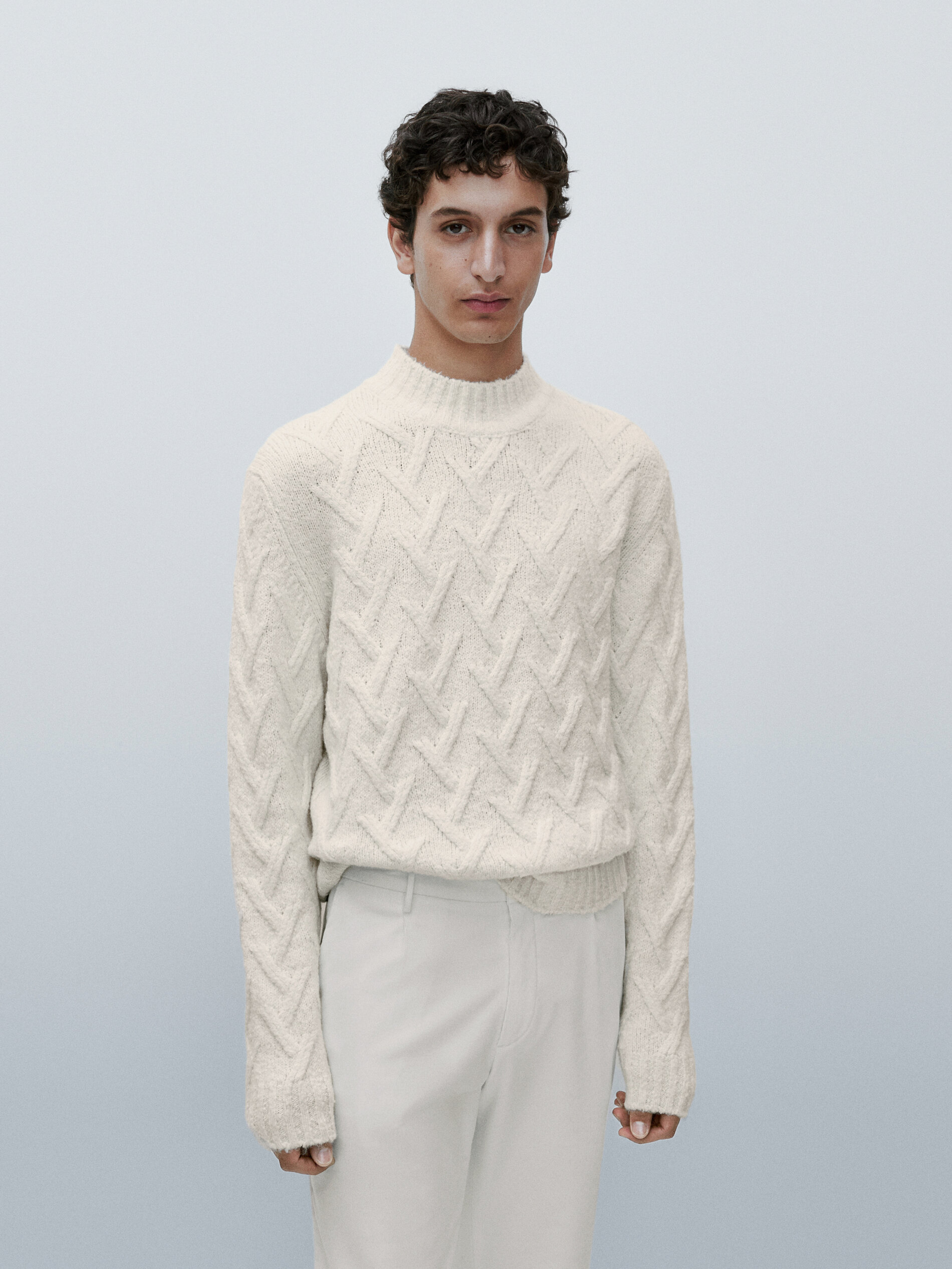 Crew neck knit sweater Limited Edition 