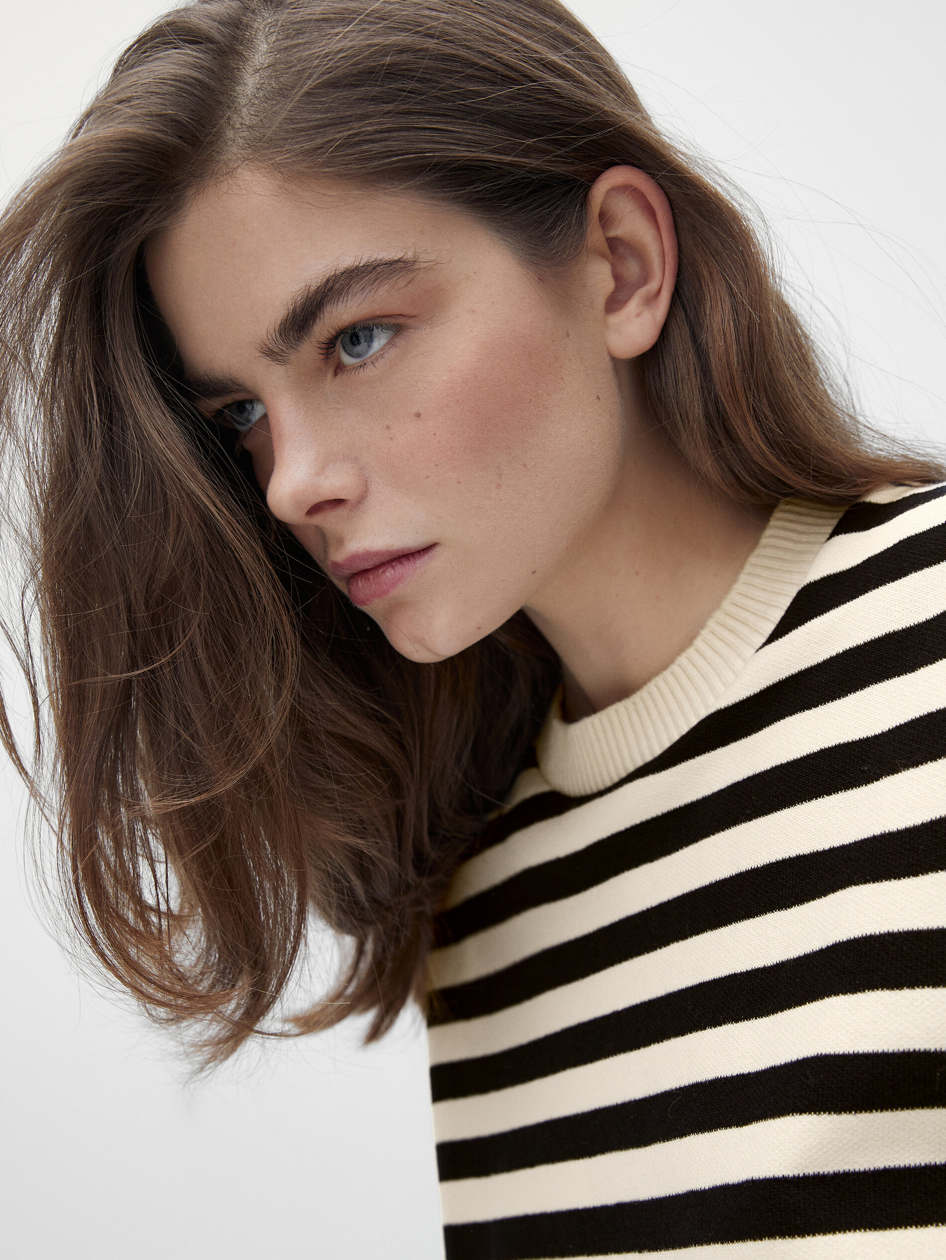 Sudadera rayas algodón - Massimo Dutti España