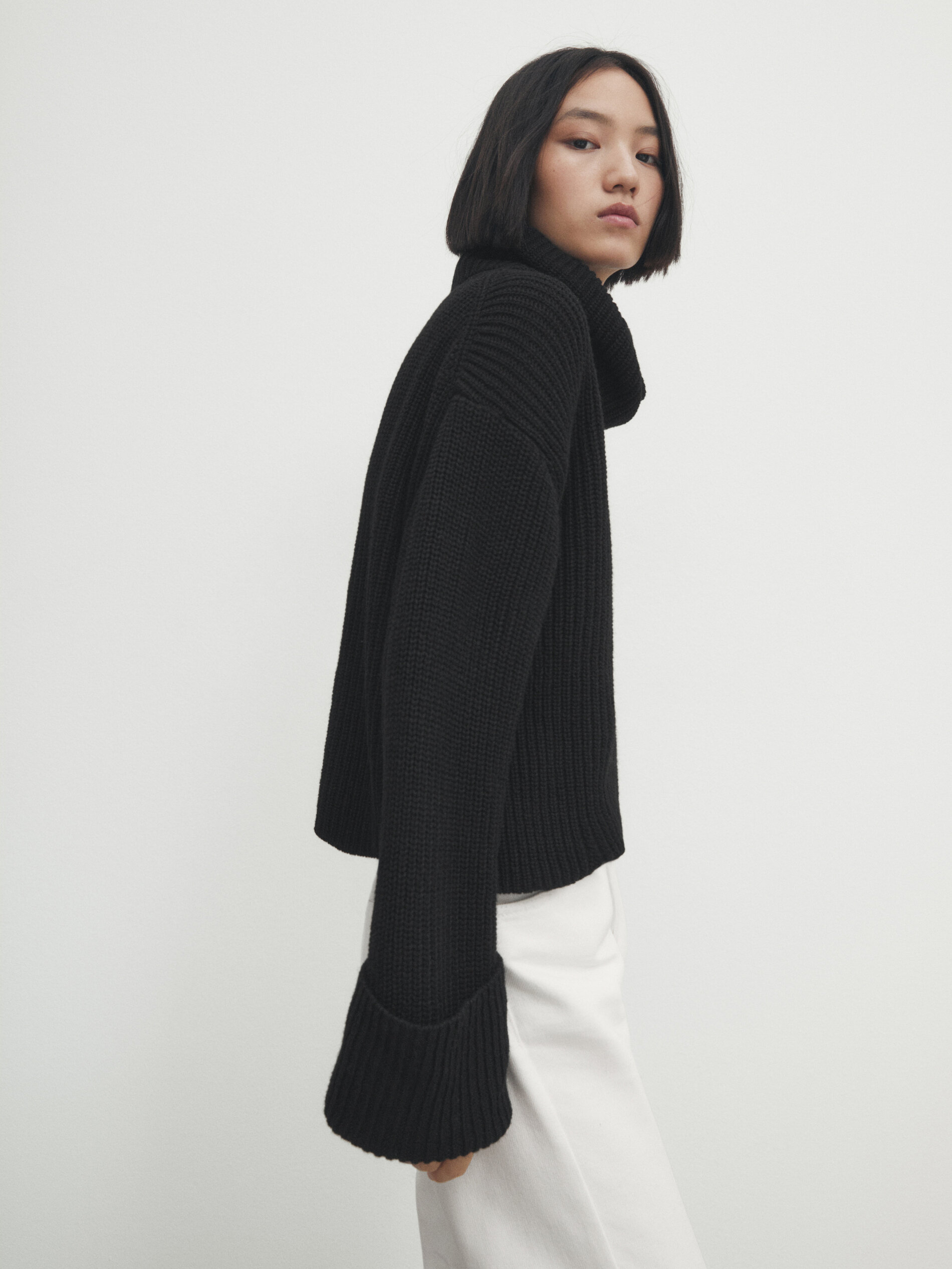 Massimo dutti sale roll neck