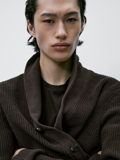 Men's Cardigan - Massimo Dutti United Arab Emirates Men's Cardigan - Massimo Dutti United Arab Emirates