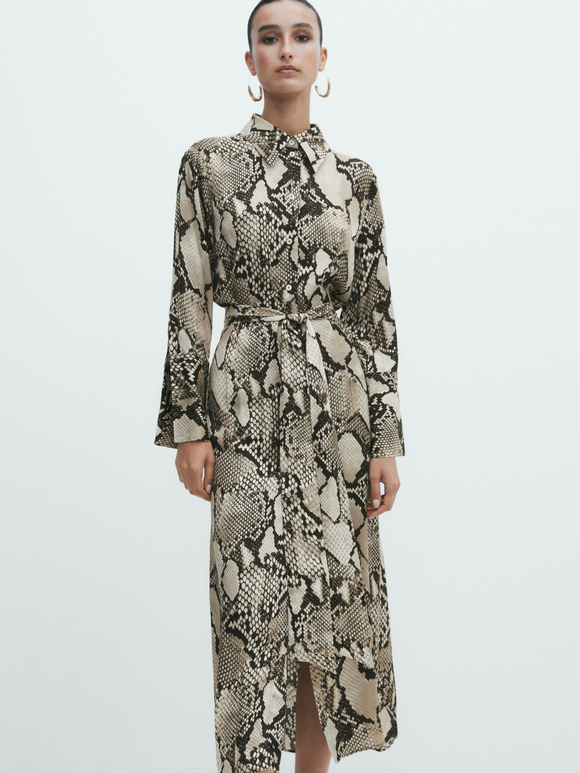 Massimo dutti best sale snake print dress