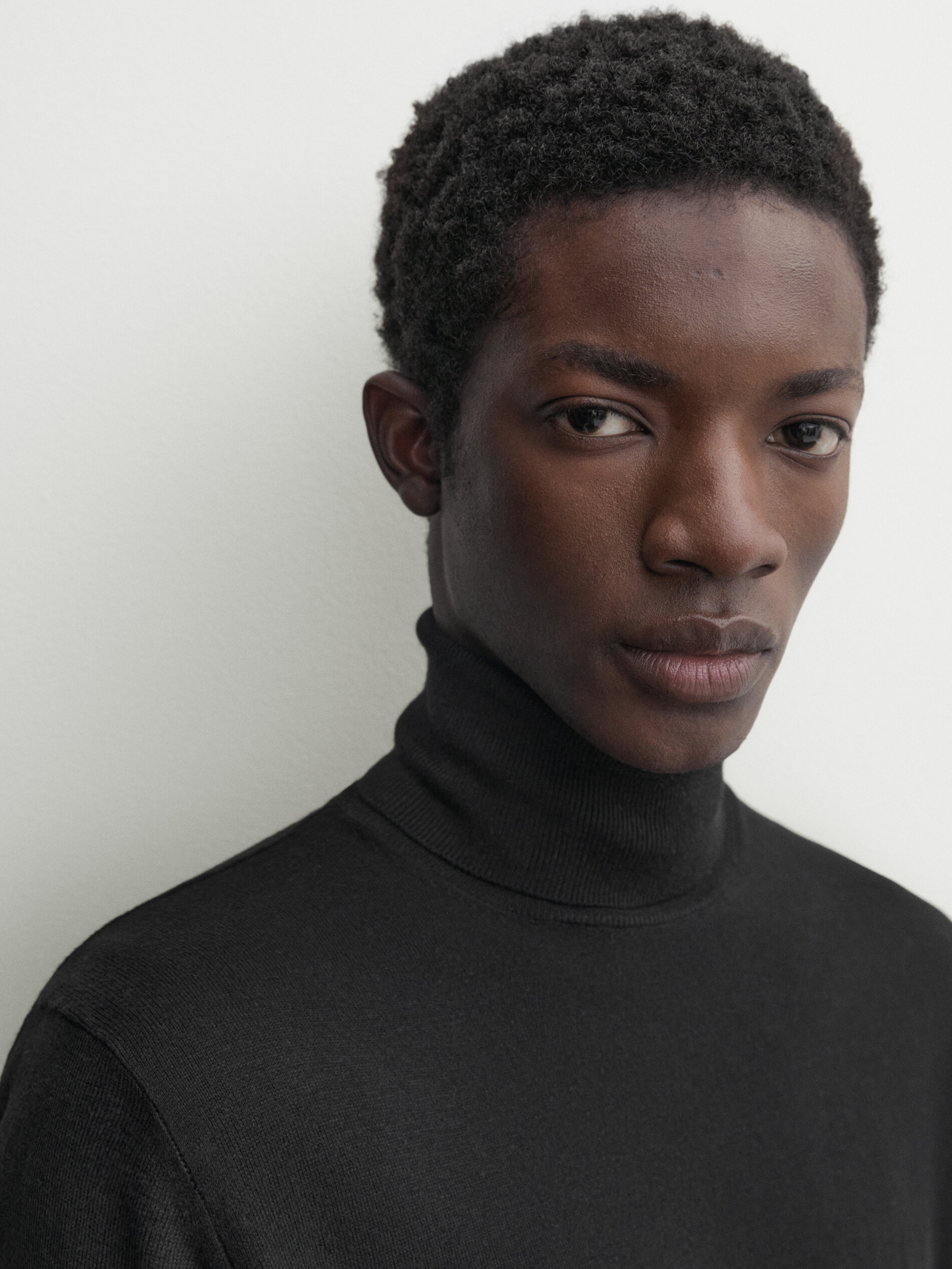 Massimo dutti roll cheap neck