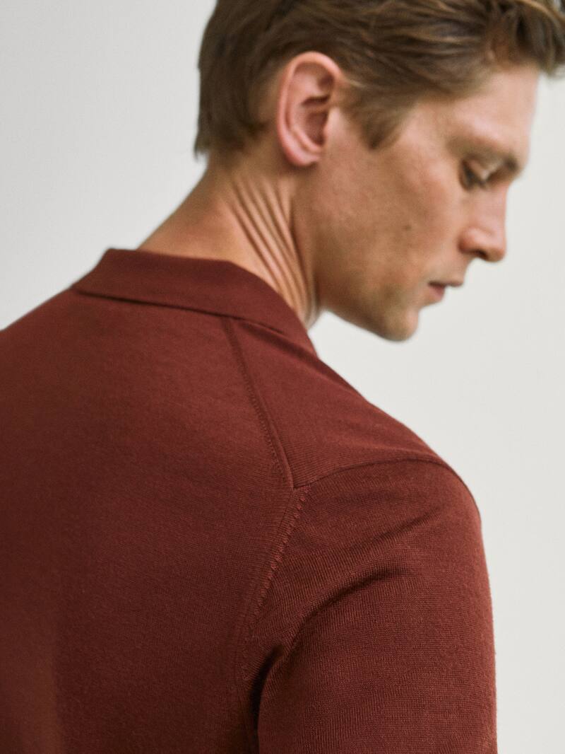 Polo Sweater In 100 Merino Wool Men Massimo Dutti
