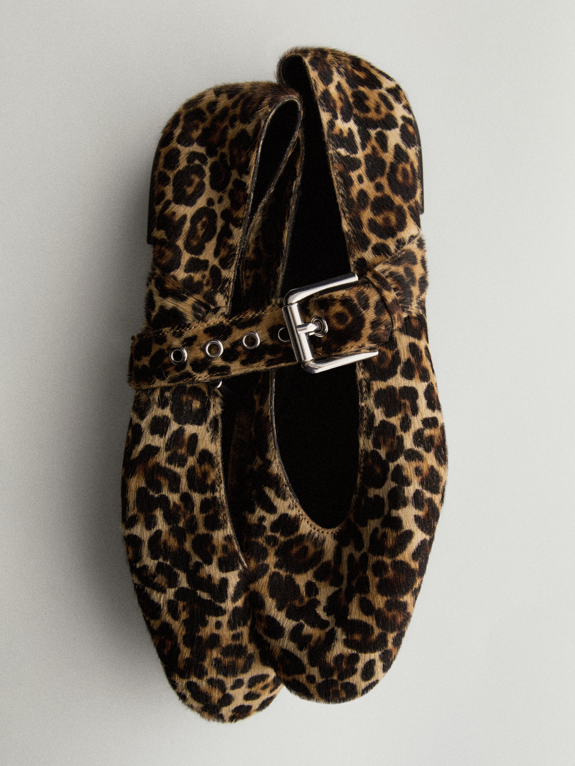 ANIMAL PRINT - Massimo Dutti 