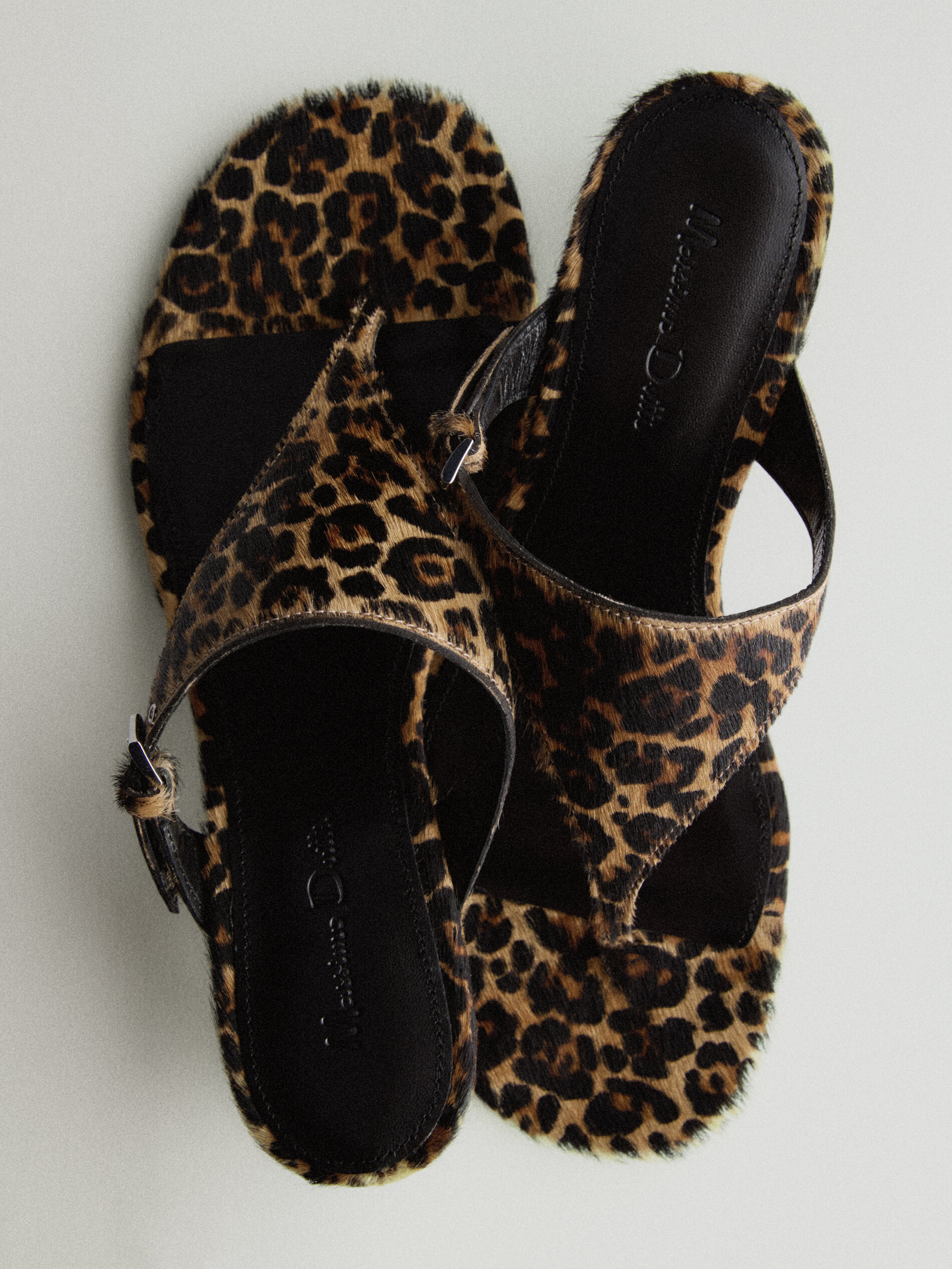 ANIMAL PRINT - Massimo Dutti 