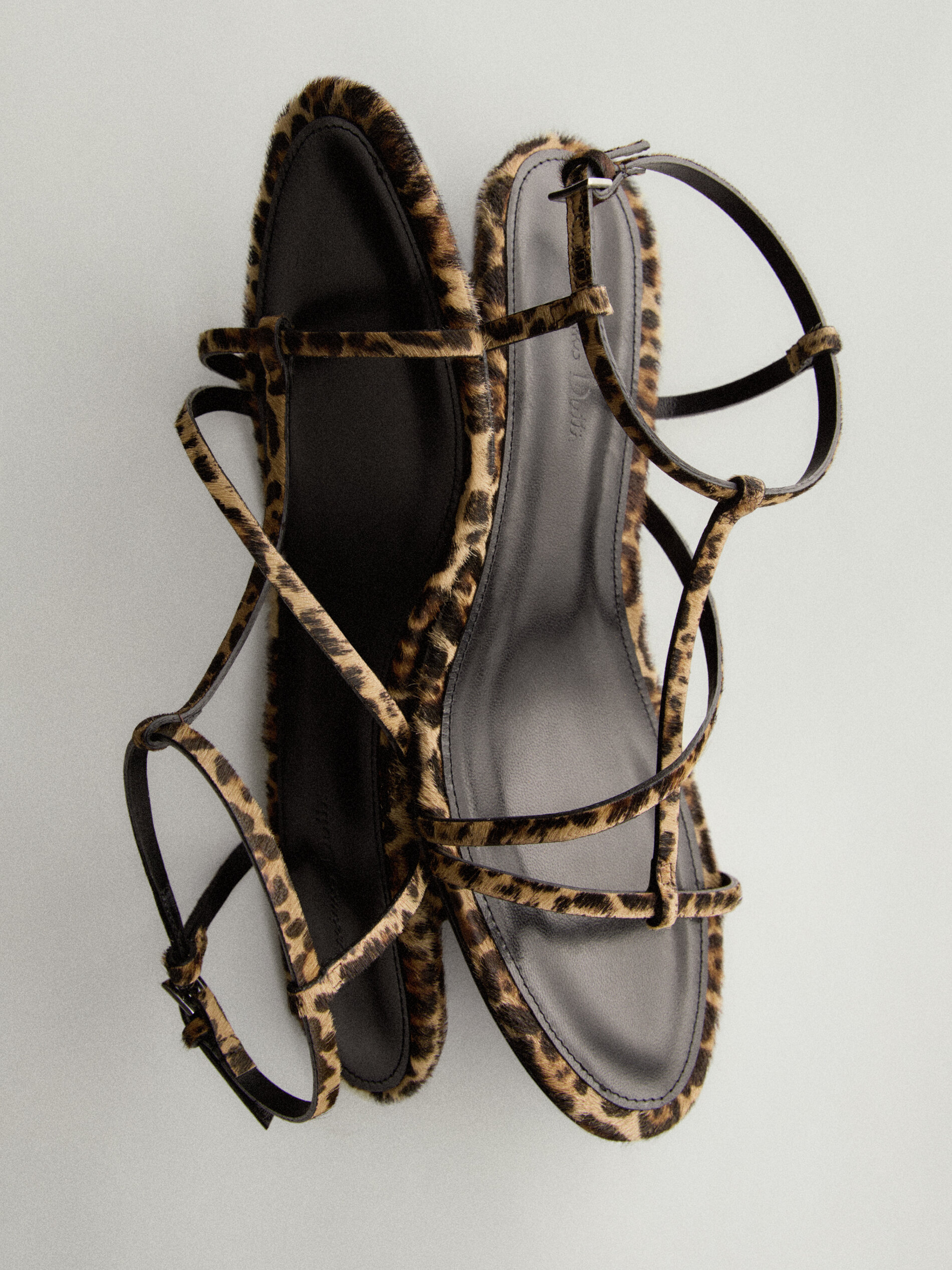 ANIMAL PRINT - Massimo Dutti 