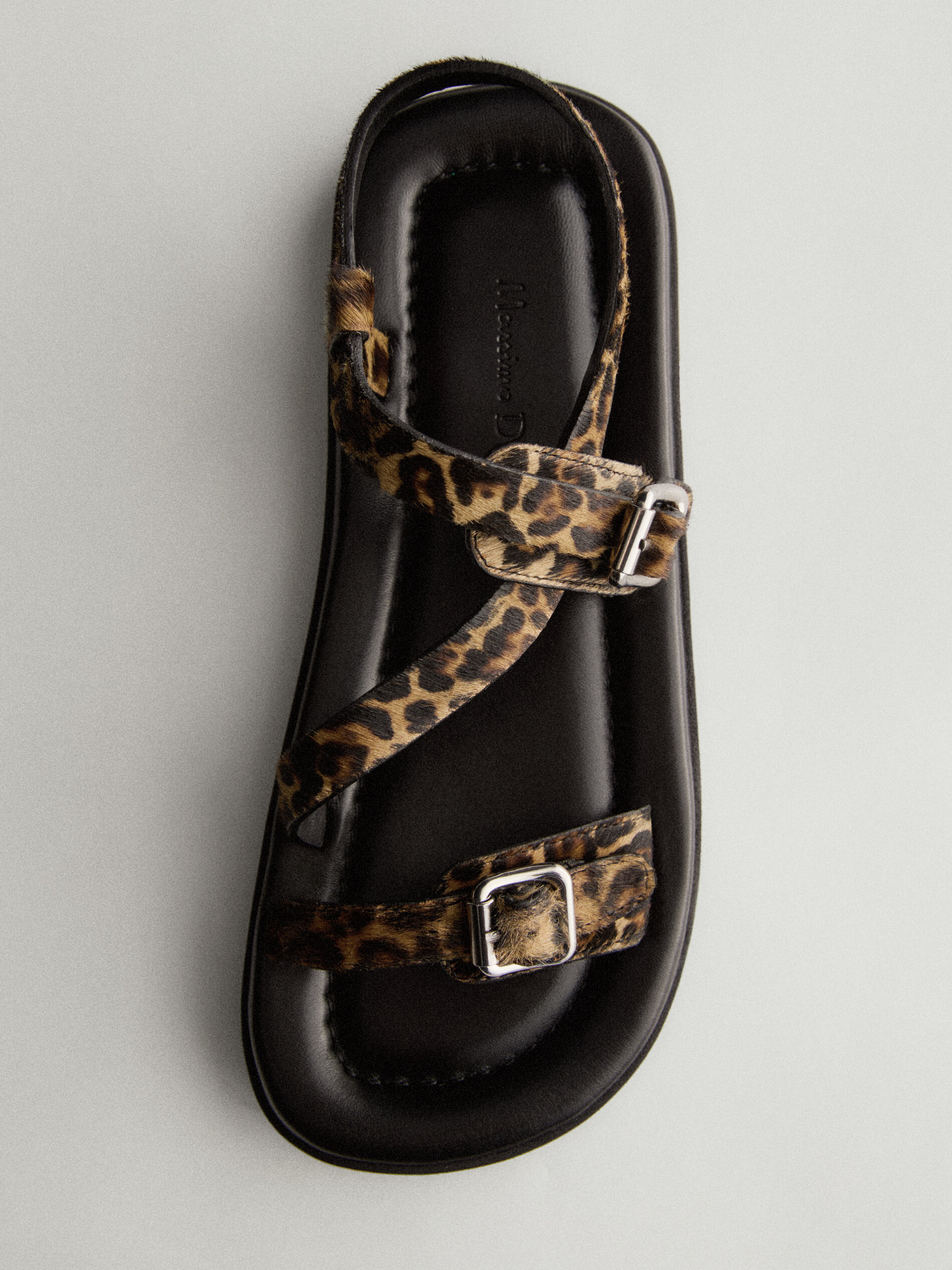 ANIMAL PRINT - Massimo Dutti 