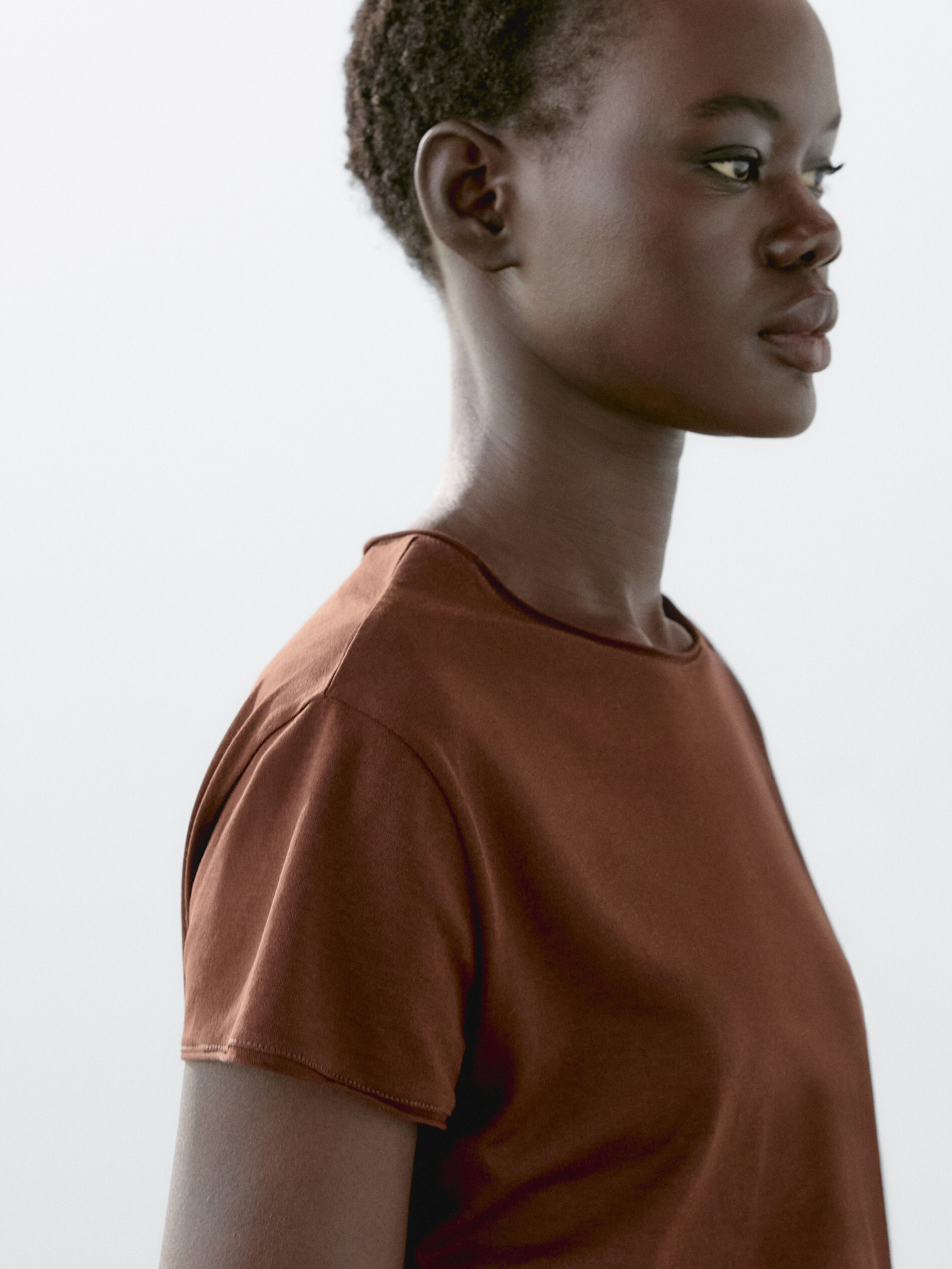T-Shirt À Manches Courtes 100 % Coton - Caramel - Xs - Massimo Dutti - Femme