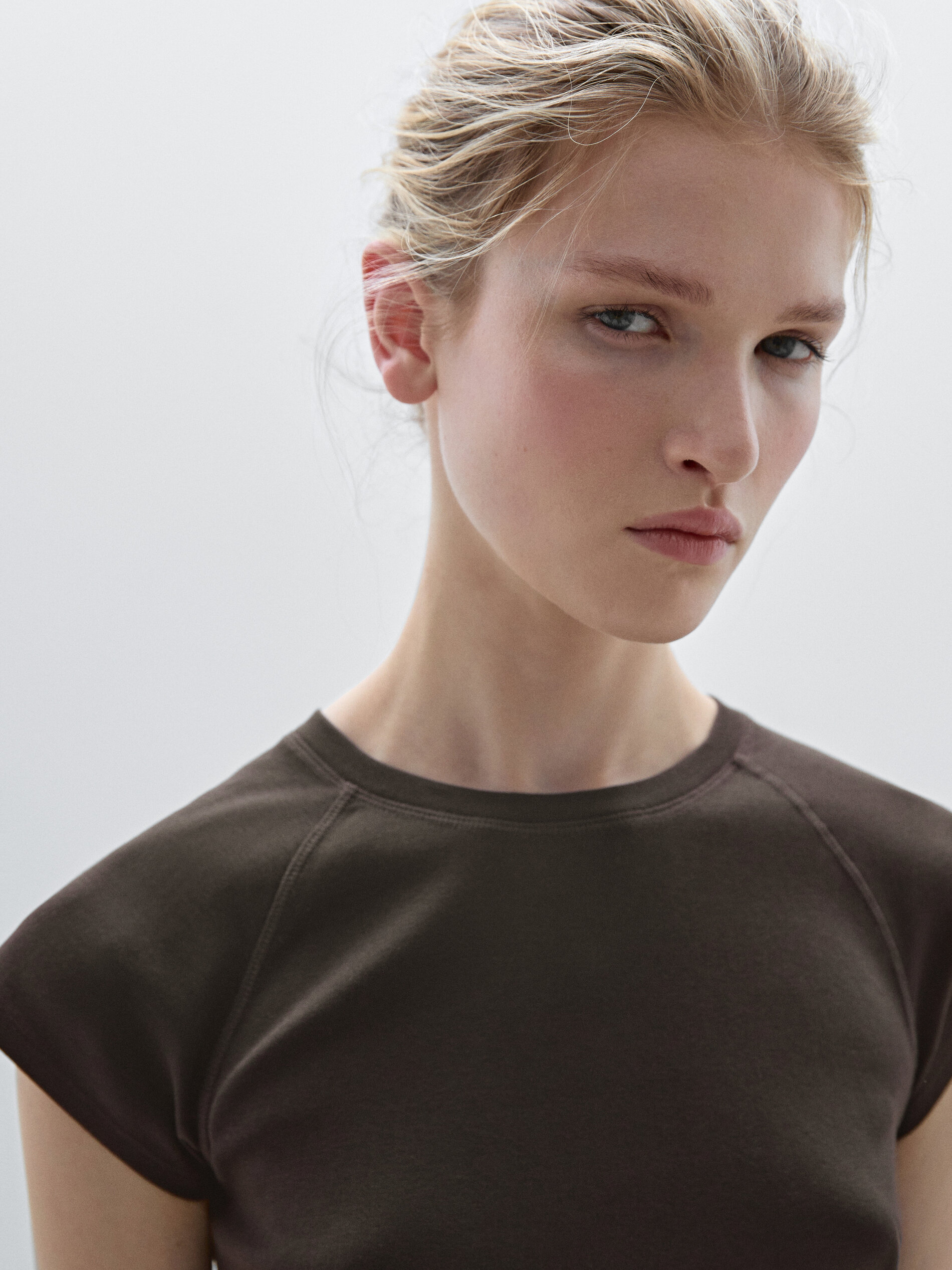 T-Shirt Slim Manches Raglan Coton - Marron - Xl - Massimo Dutti - Femme