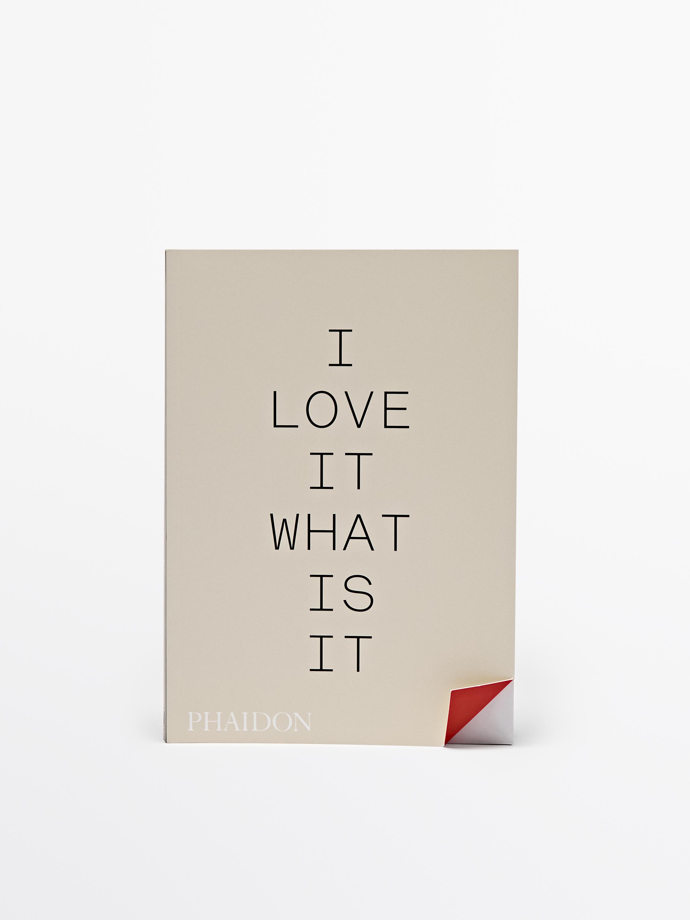 I Love It: What Is It? book