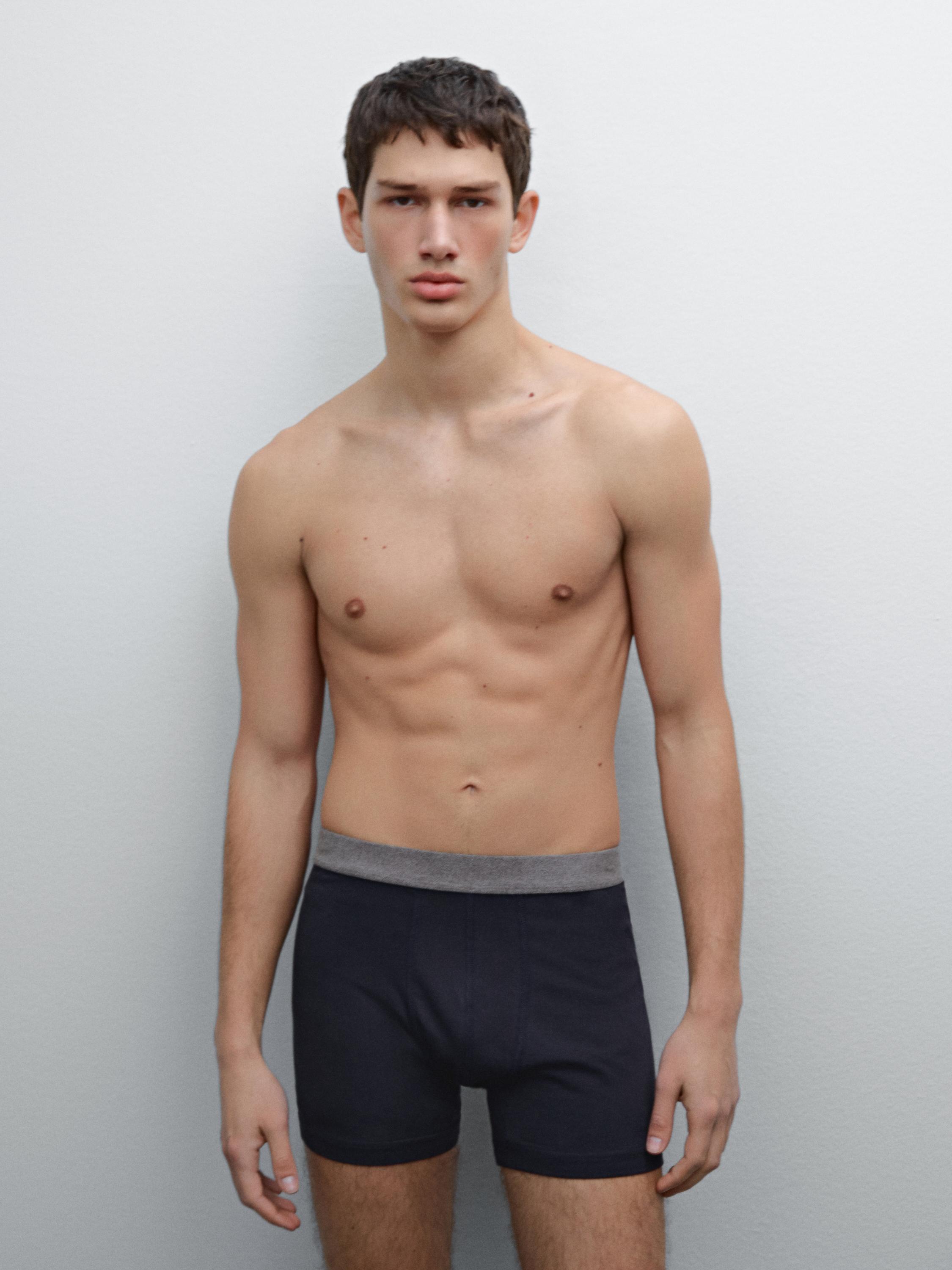 Boxer à taille grise