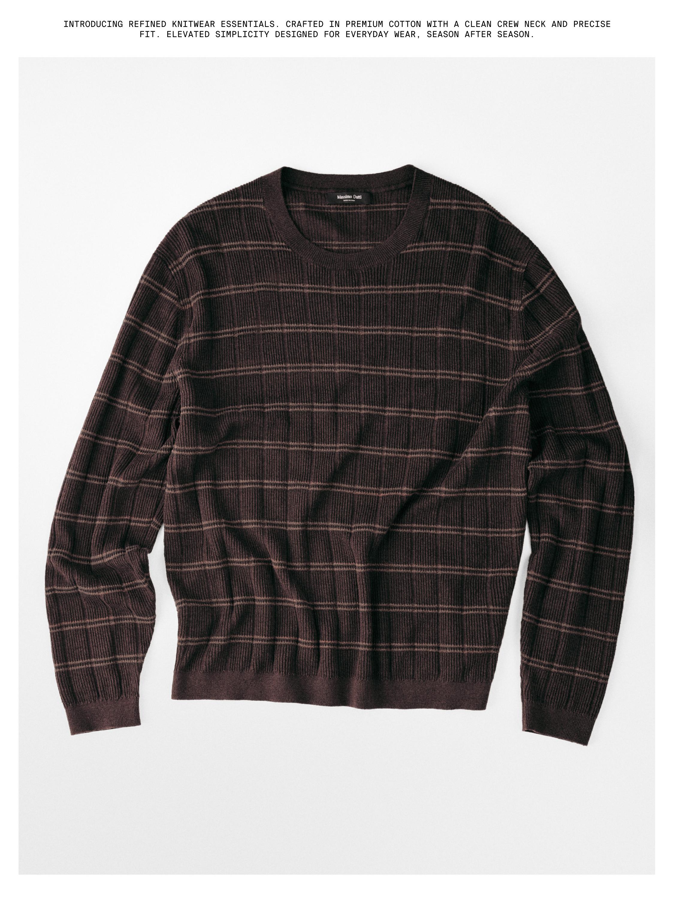 Striped knit crew neck sweater — BROWN
