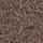 MOLE BROWN