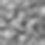 BLACK EVENING EAU DE PARFUM (100 ml) — BLACK