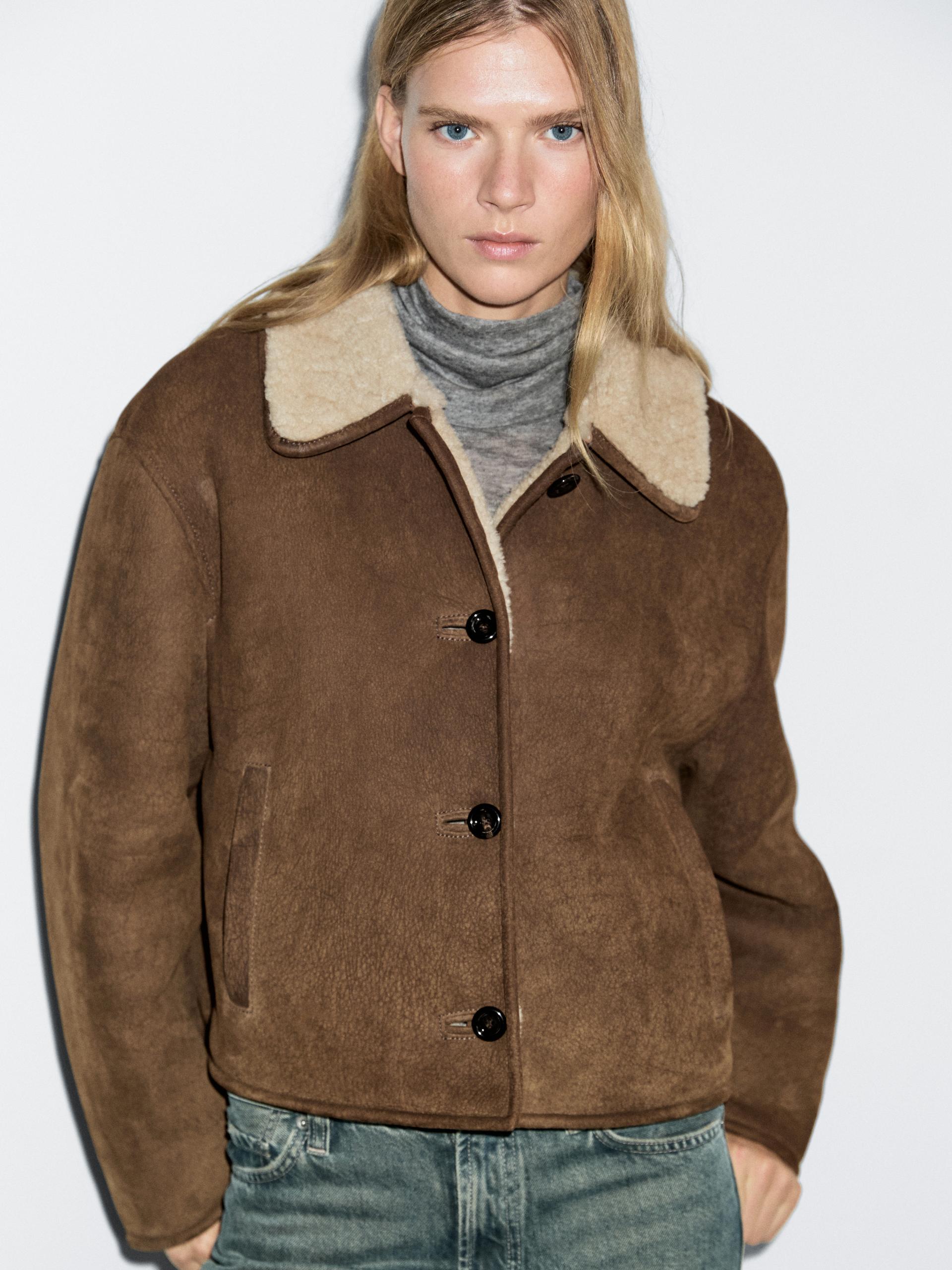 Chaqueta Corta Piel Con Pelo De Cordero - Camel - S - Massimo Dutti - Mujer