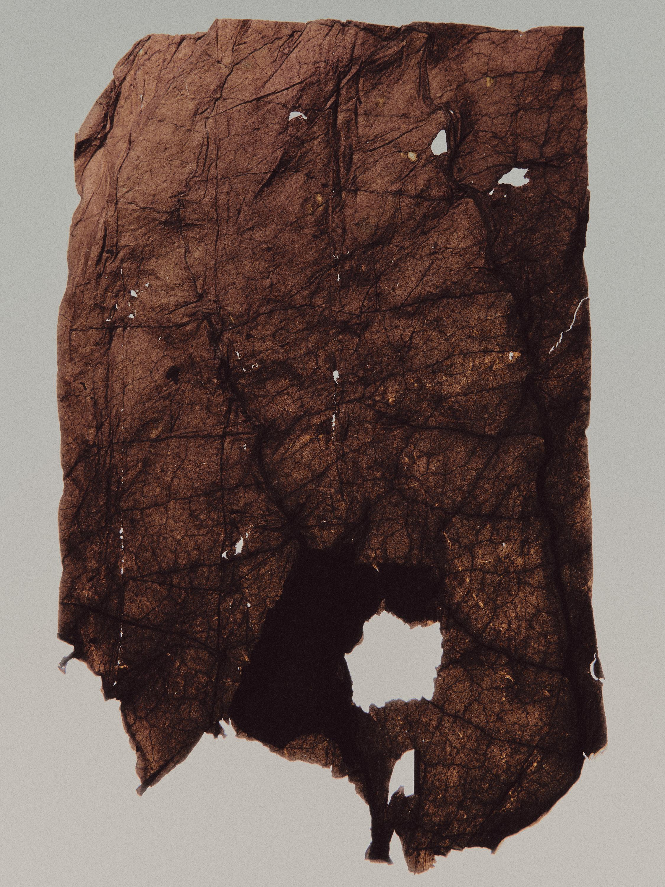 (100 ml) Kashbah Elixir Eau de Parfum