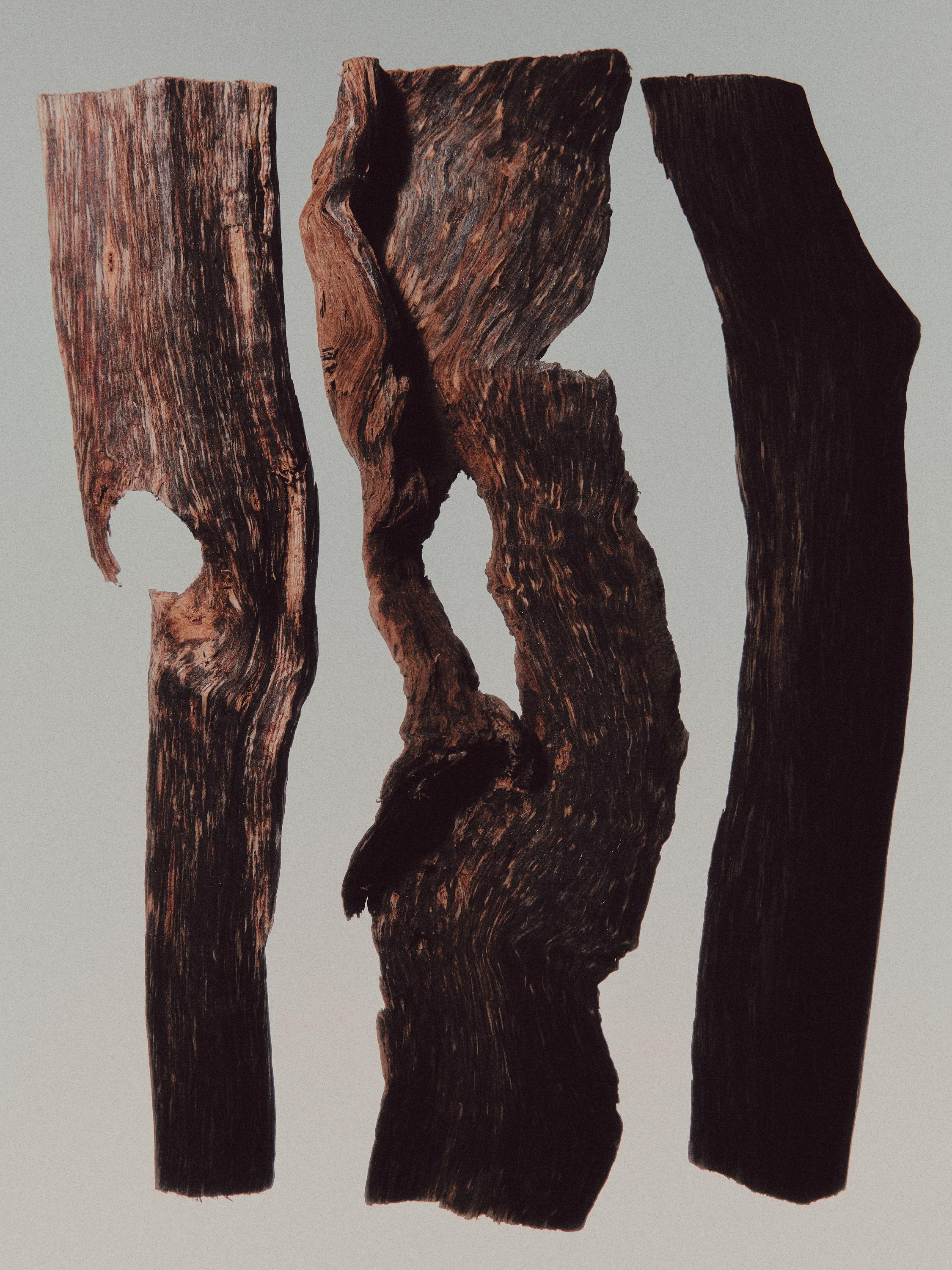 (100 ml) Leather statement eau de parfum