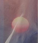 desk_md_sostenibilidad09