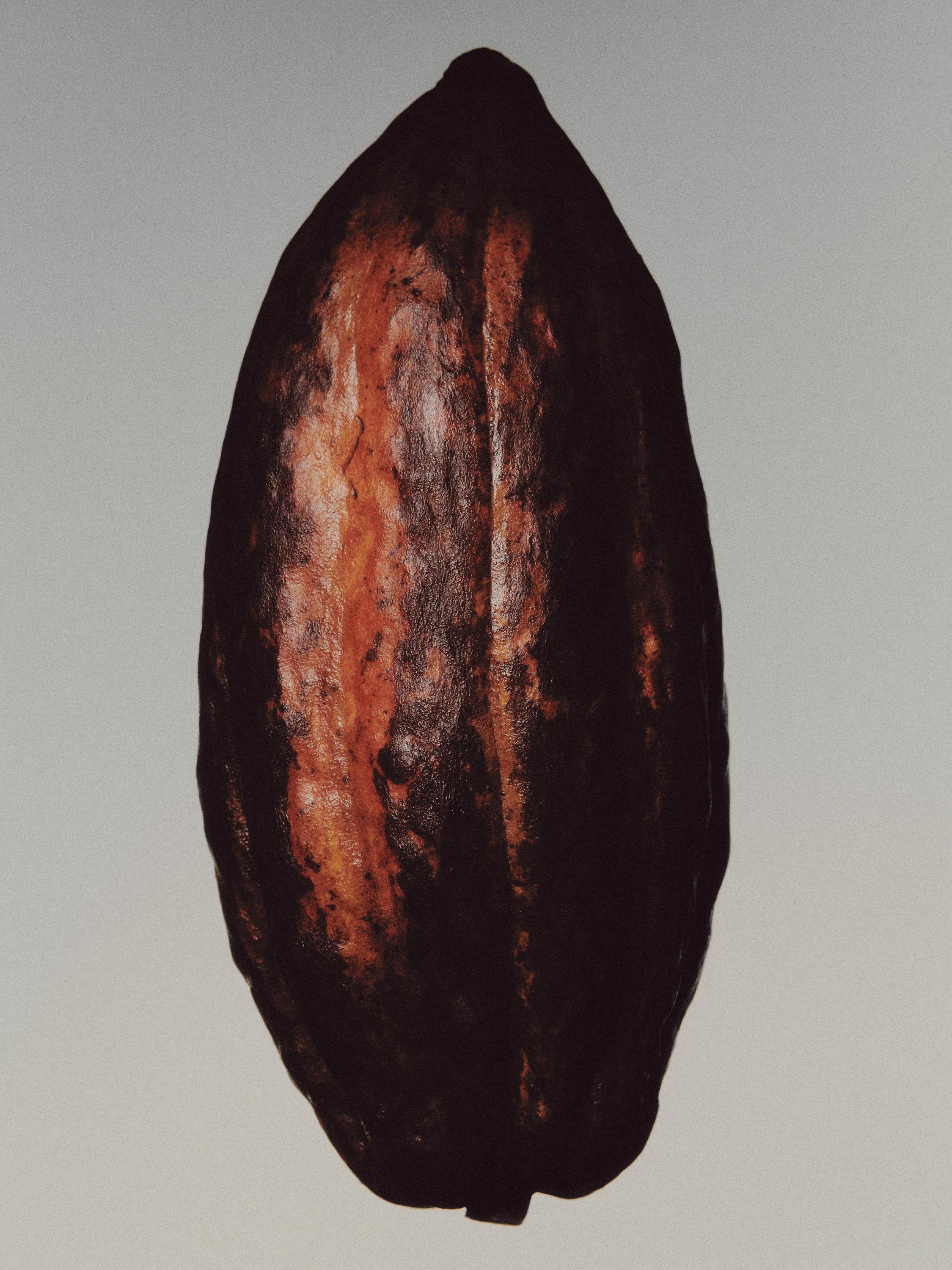 (100 ml) Leather mirage Eau de Parfum