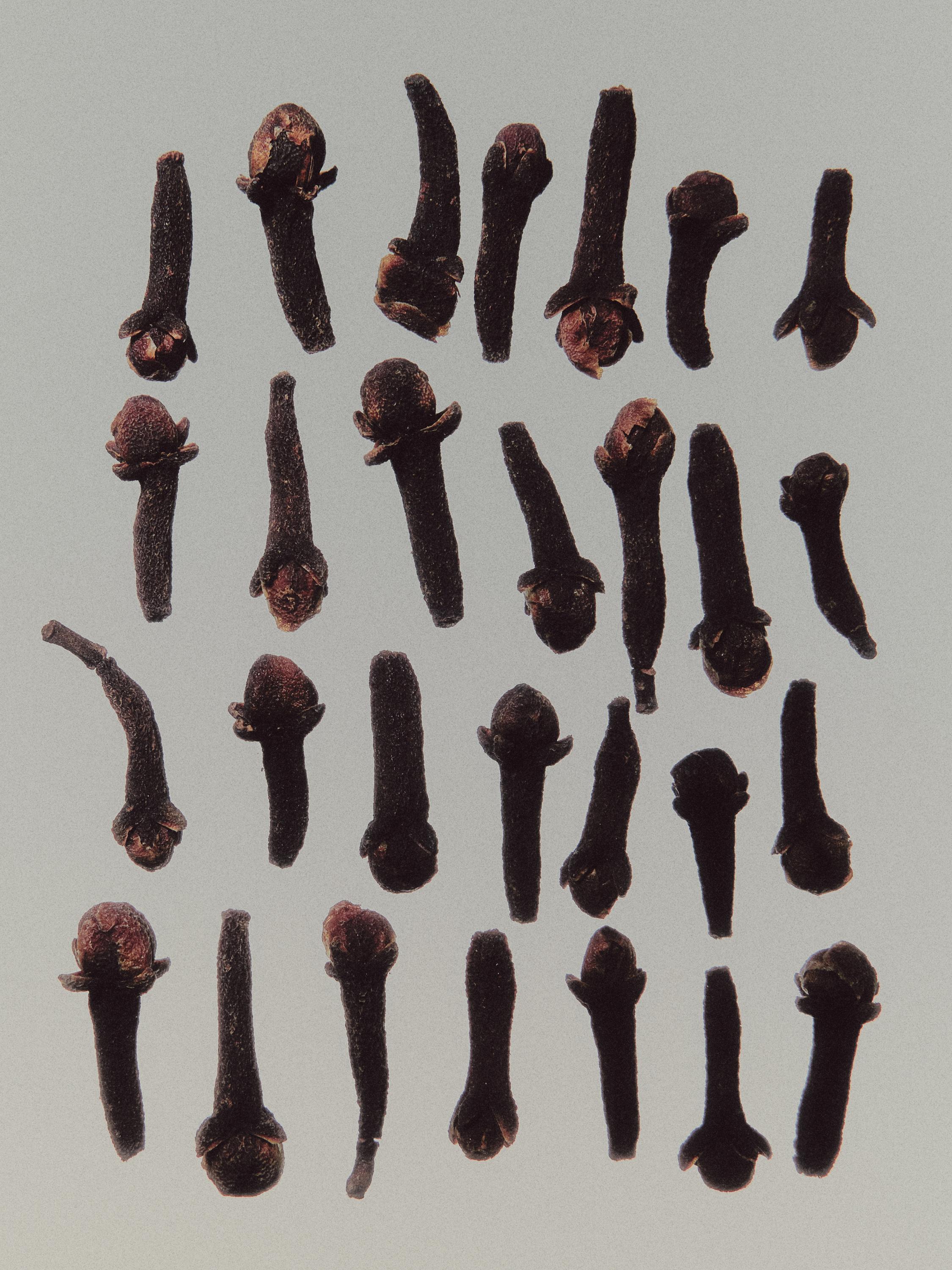 (100 ml) Souffle Marais Eau de Parfum