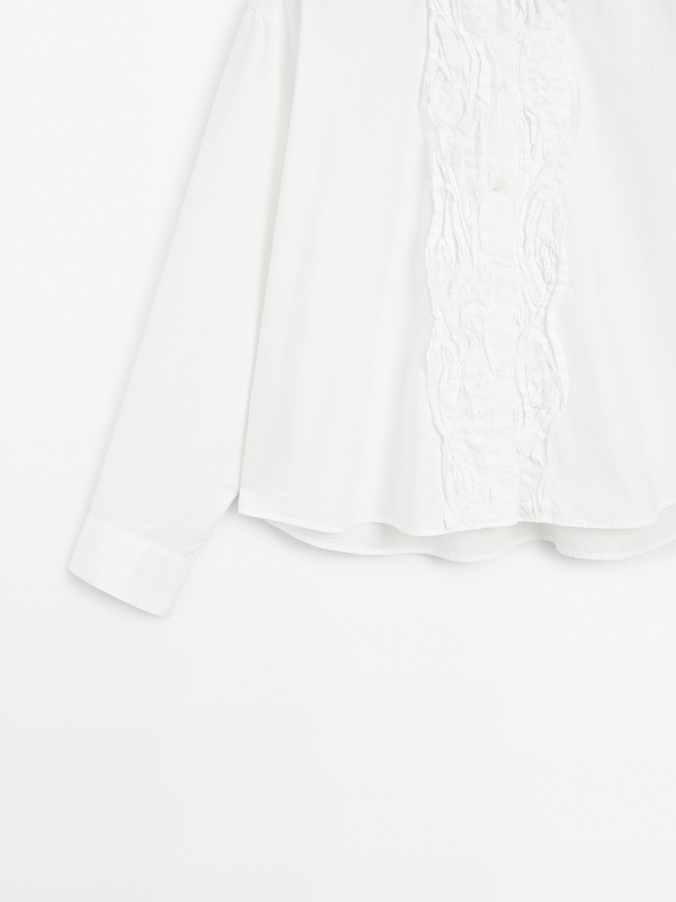 Shirt with embroidered placket detail