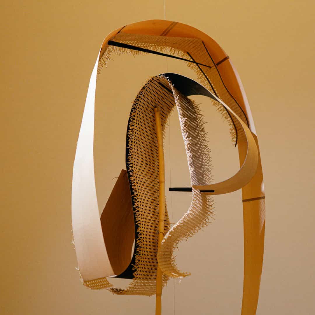 ART IN PROGRESS - LIMITED EDITION FW24