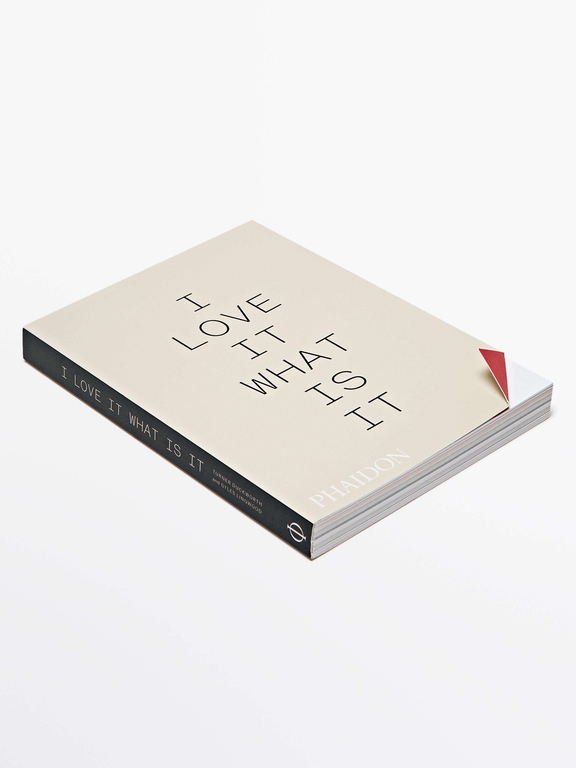 I Love It: What Is It? book