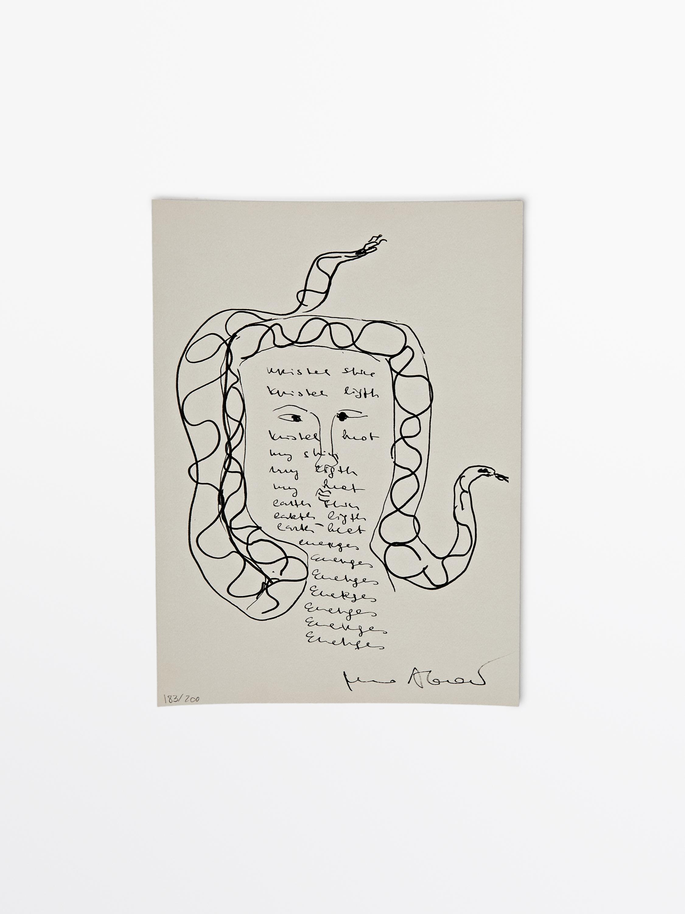 Libro Nomadic Journey and spirit of places - Marina Abramovic