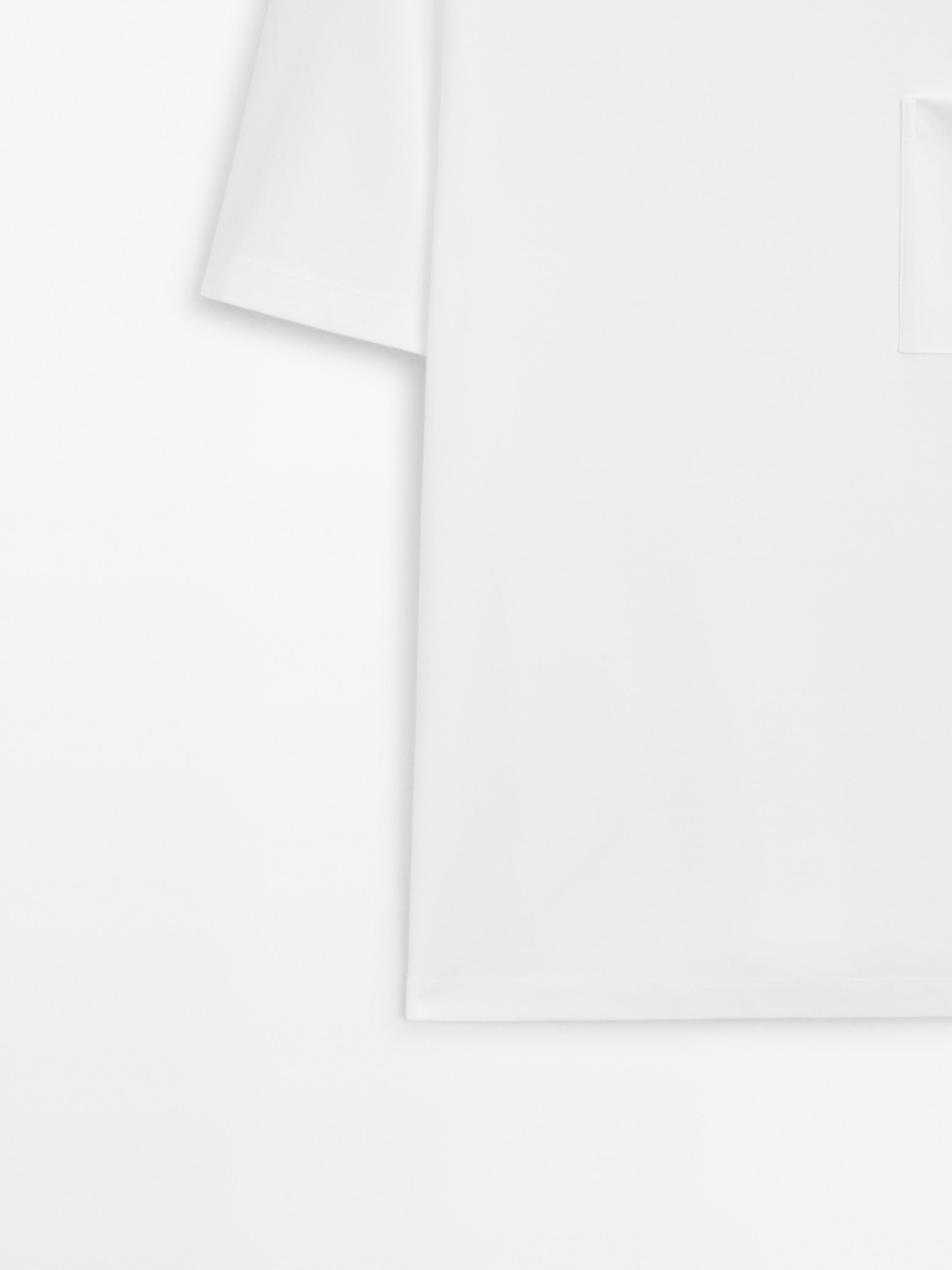 Camiseta 100% algodón manga corta