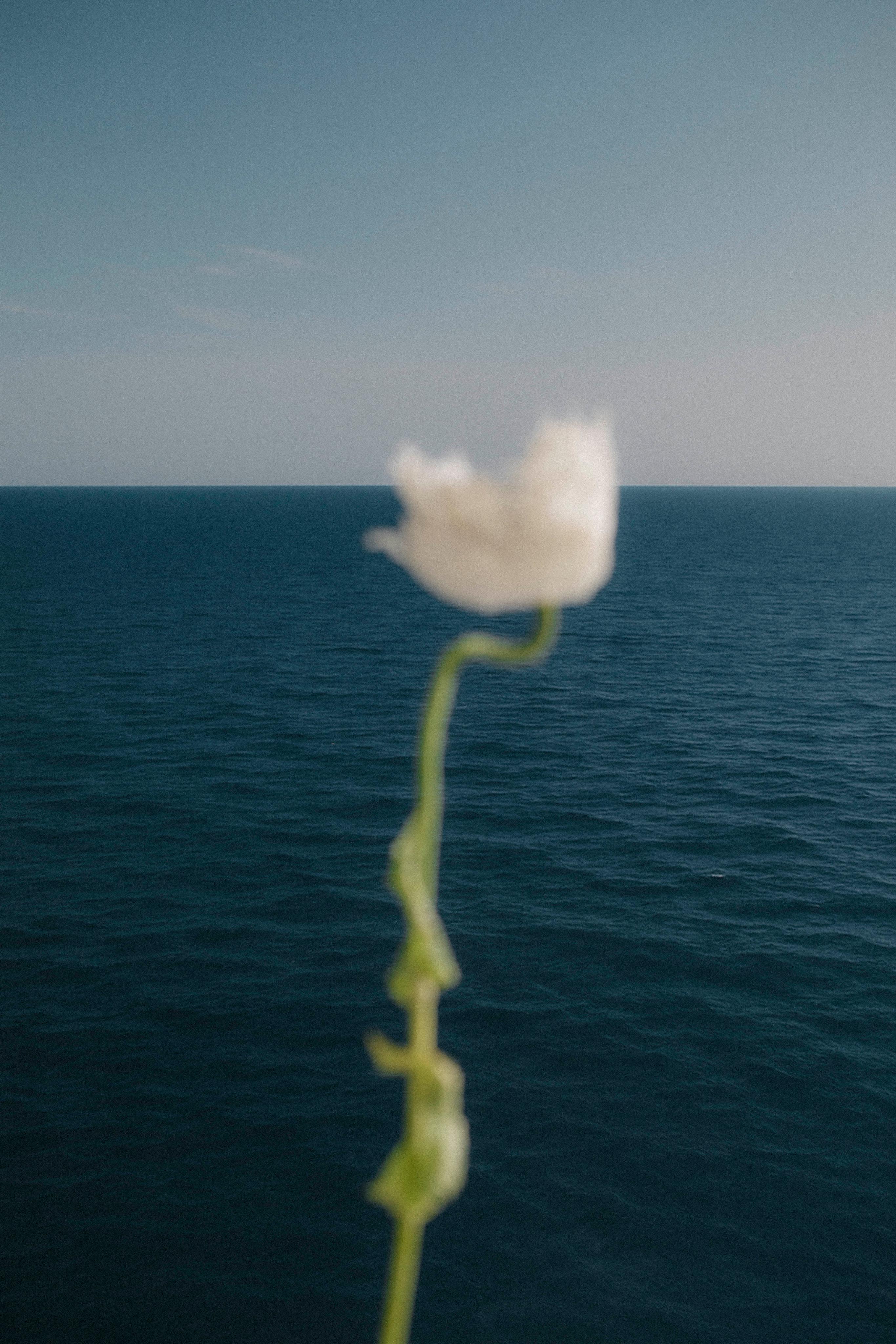 Product_Care_Option_One_Image_3